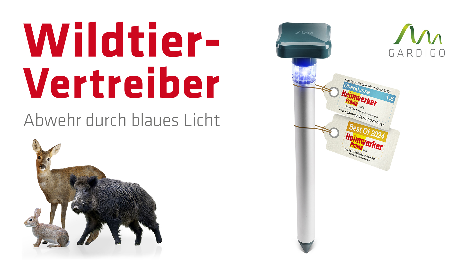60070_Video Video ansehen
