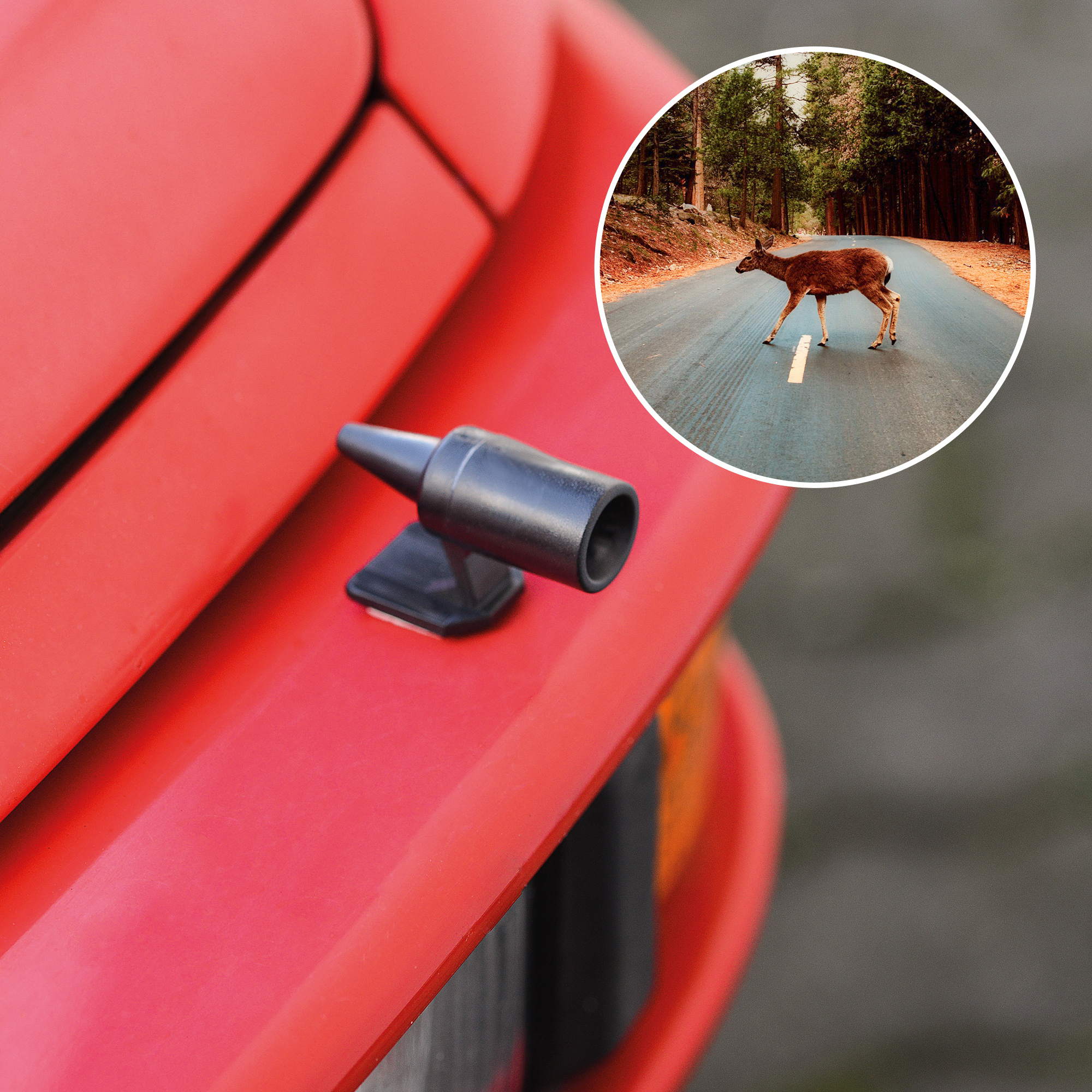 Deer whistle for cars | set of 2 | wildlife alarm