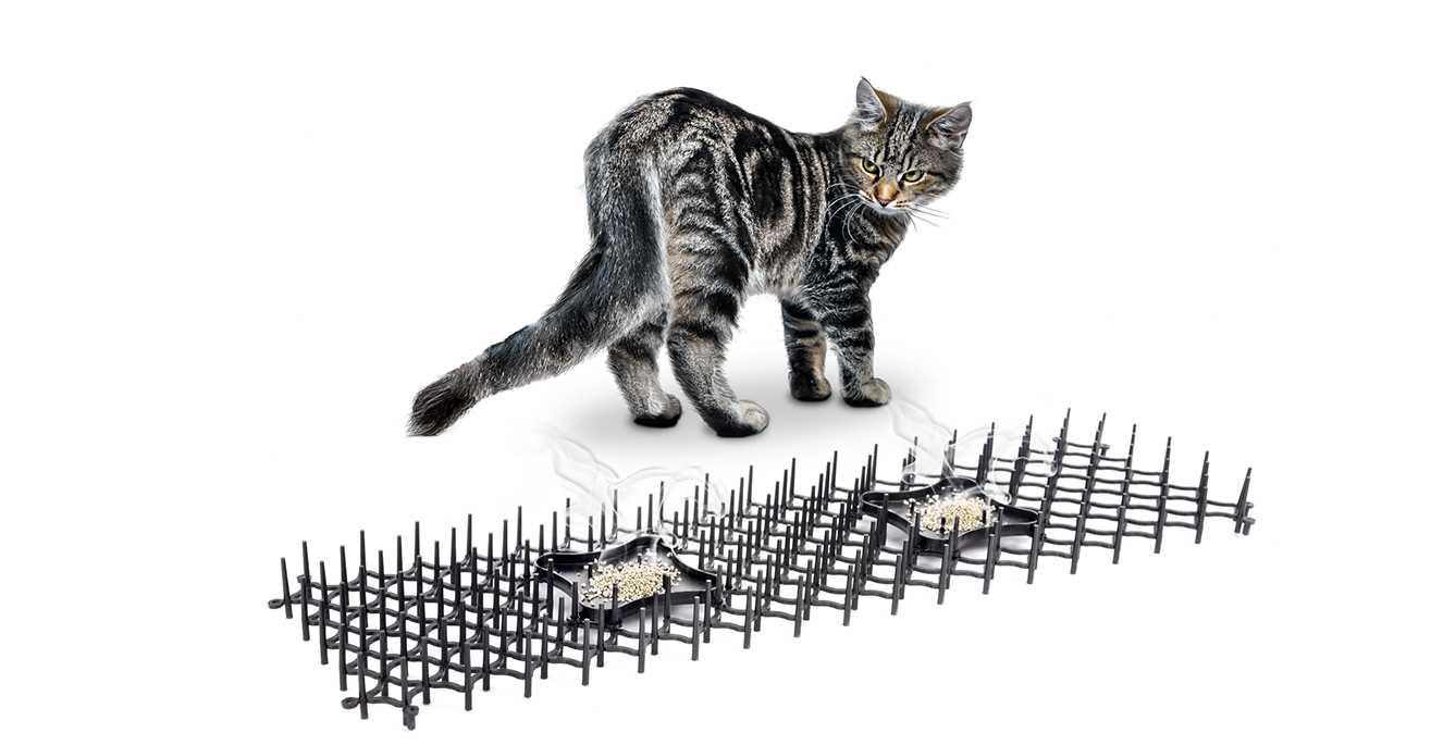 anti-cat spikes