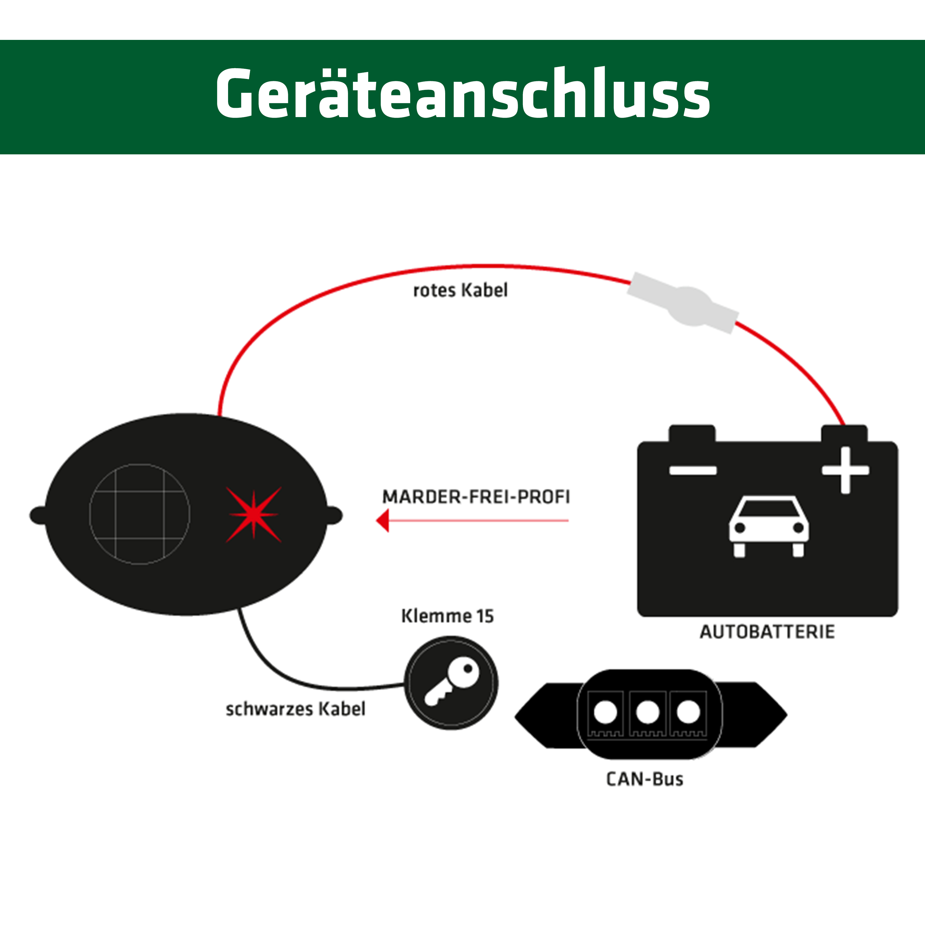 Ultrasonic marten deterrent for automobiles