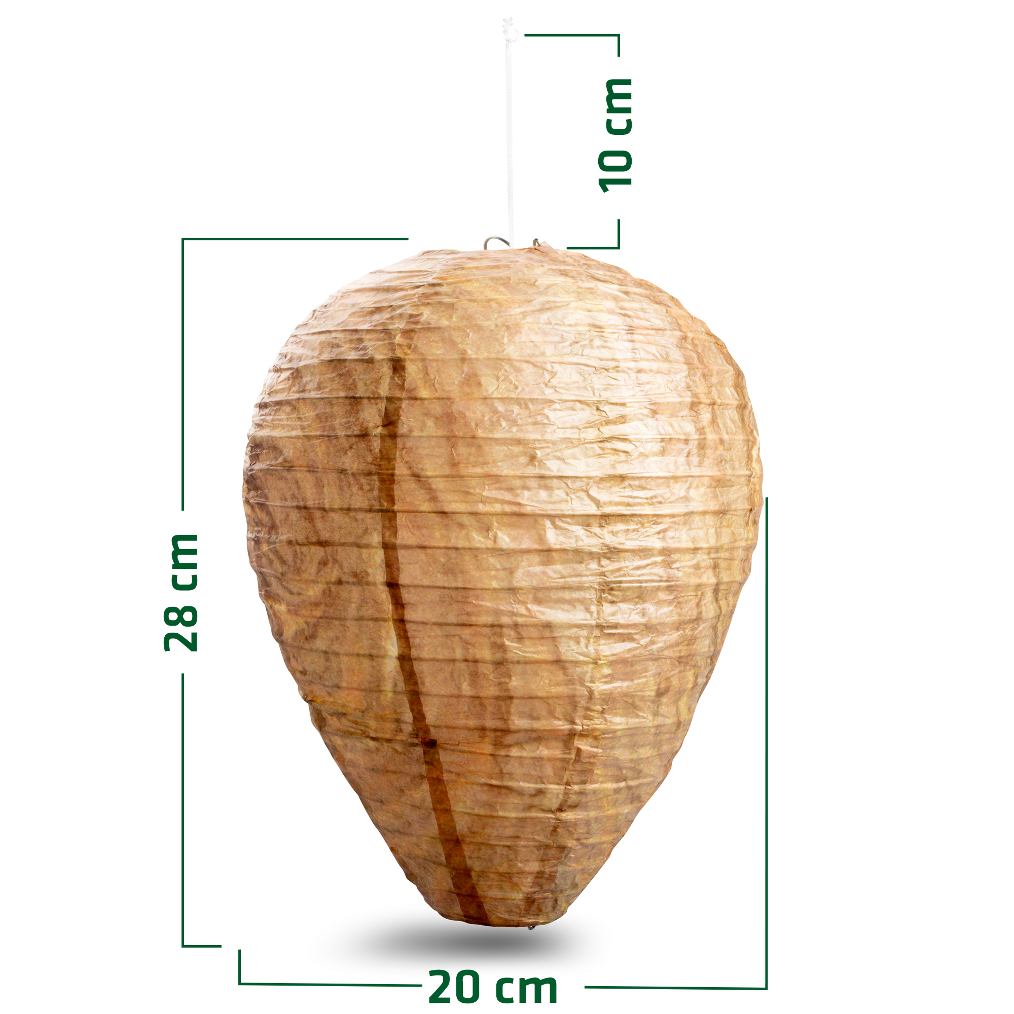 abmessungen-666612 Wasp Nest Dummy | fake nest against real wasps