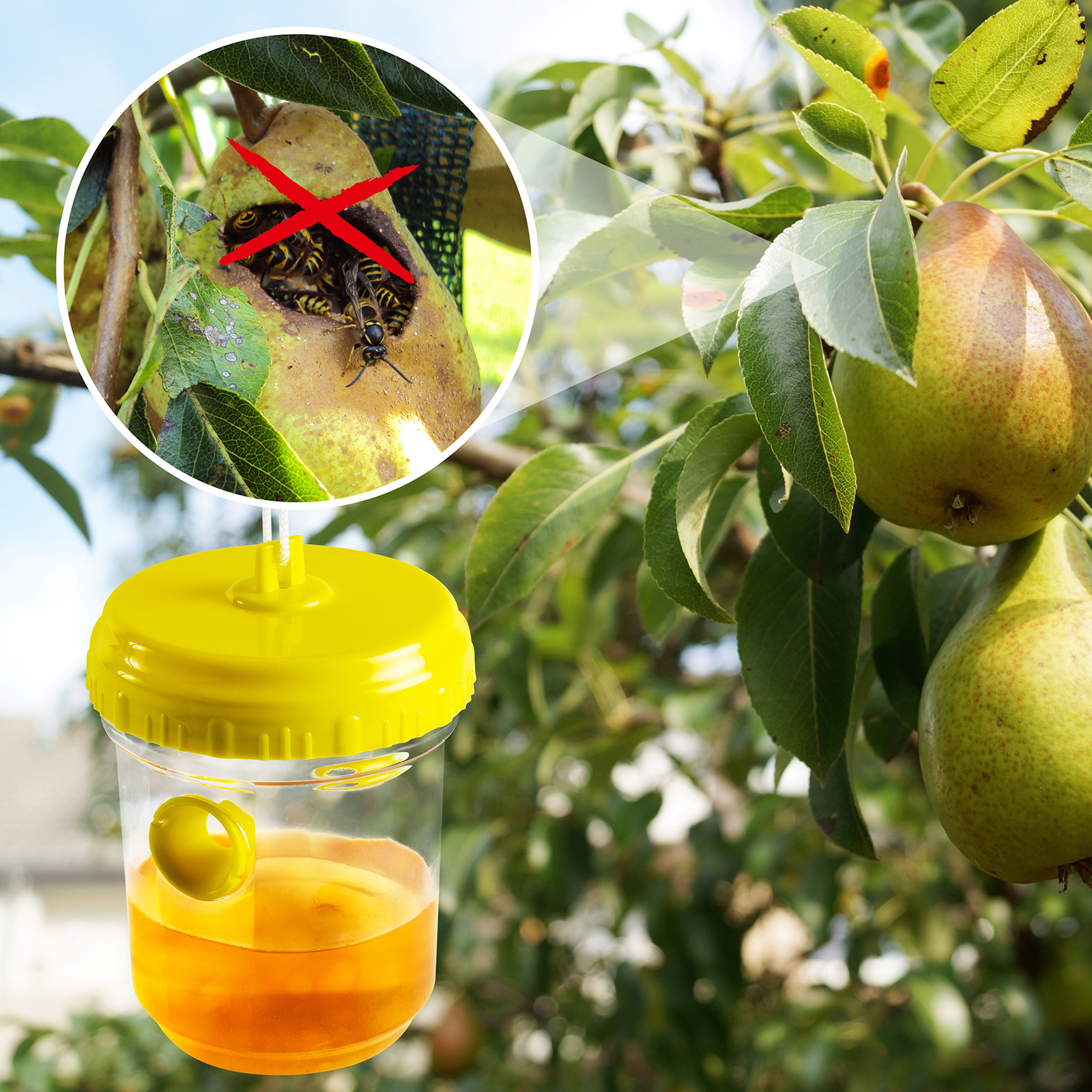 GARDIGO wasp trap, set of 2