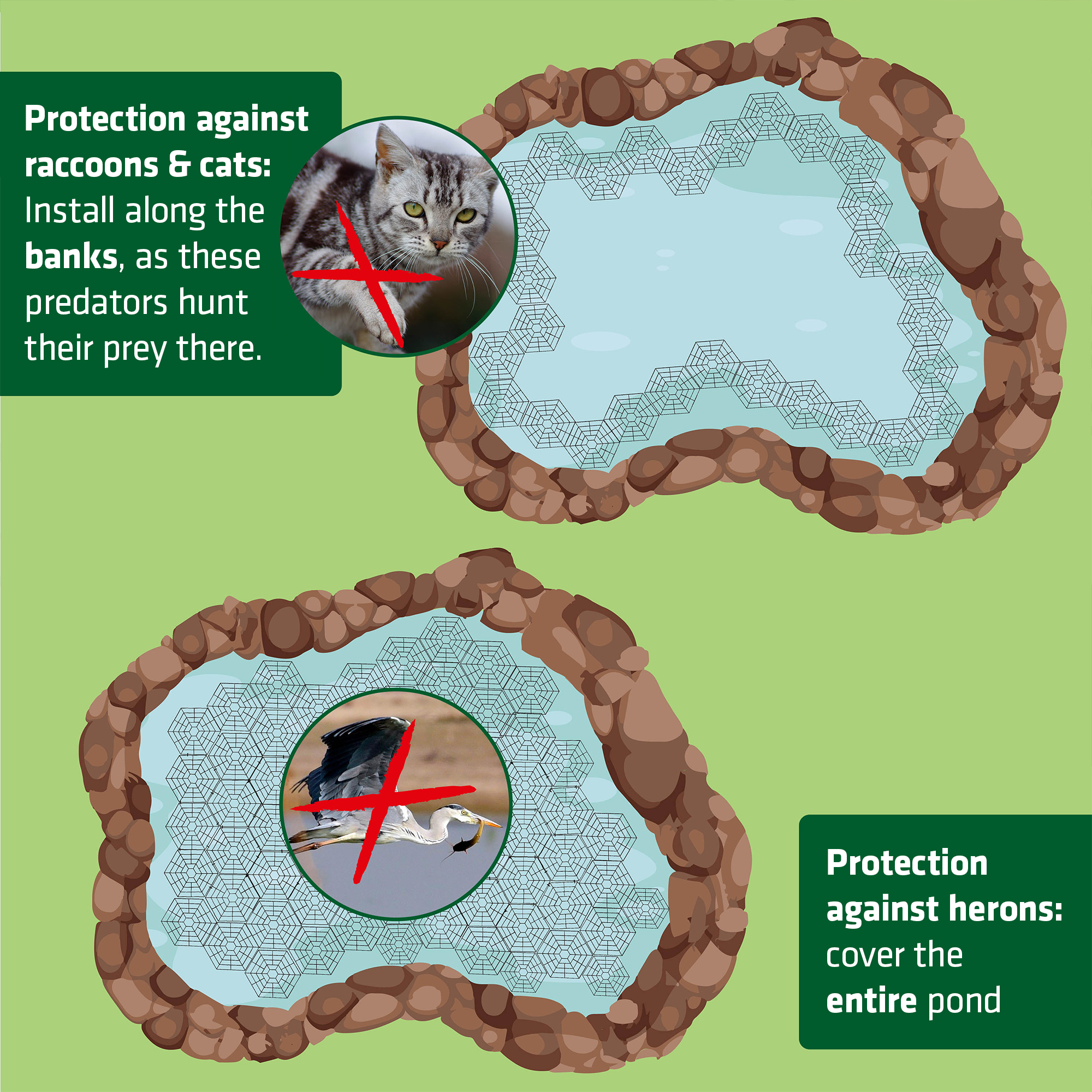protection against cats, raccoons & herons