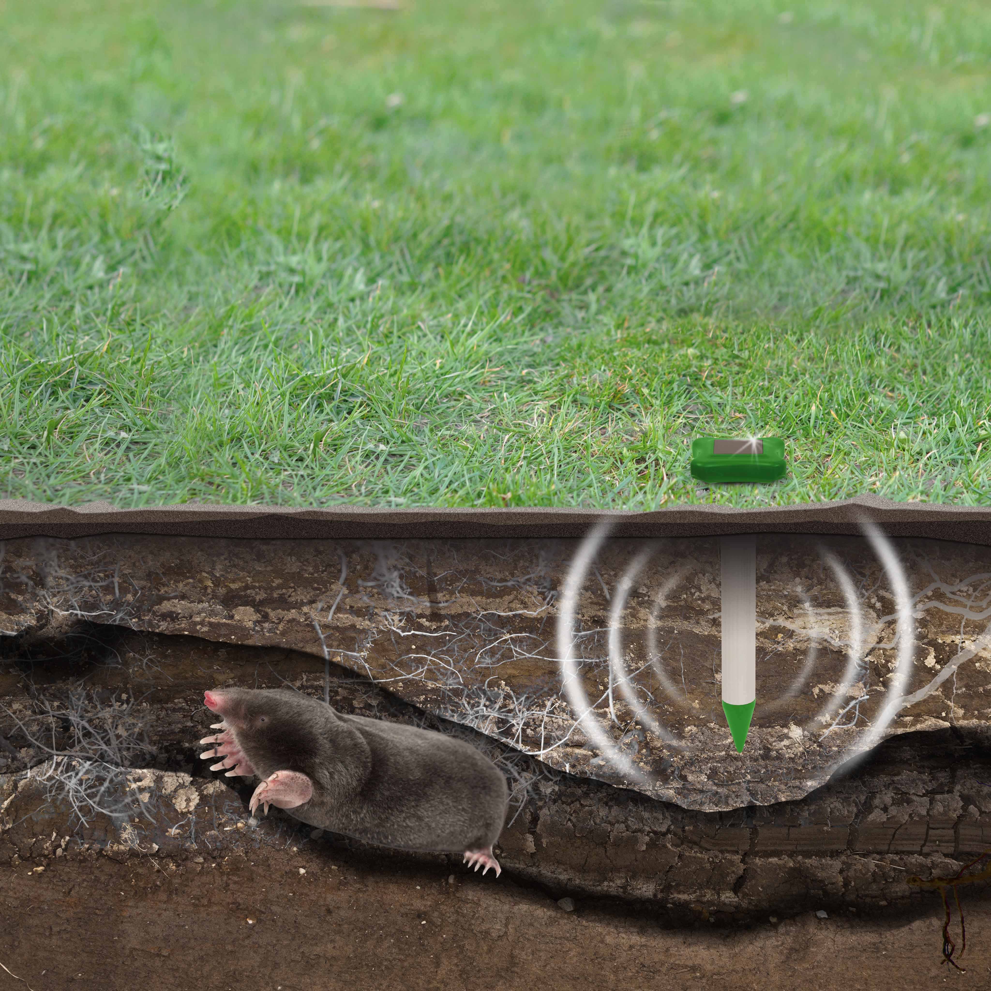 GARDIGO Solar Mole Repellent | solar powered