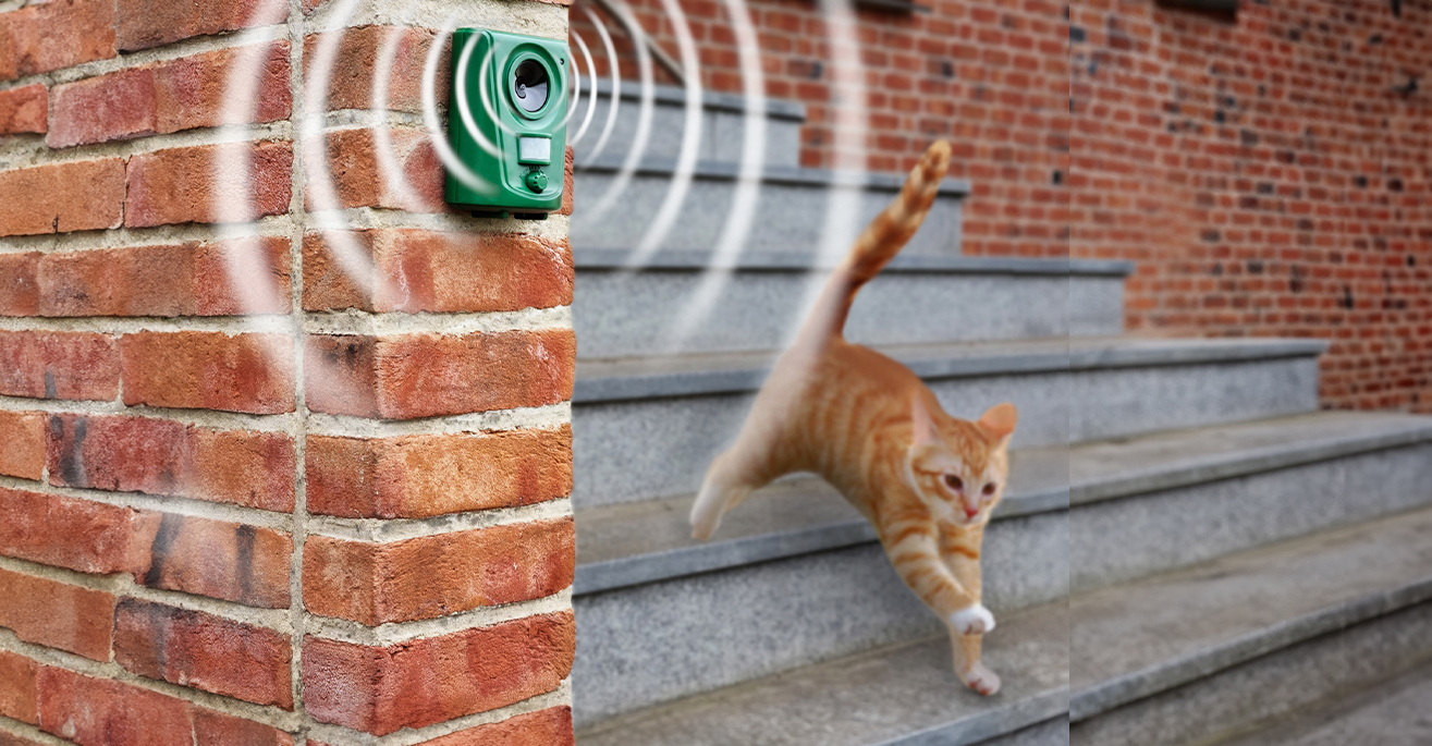 ultrasonic cat repellers