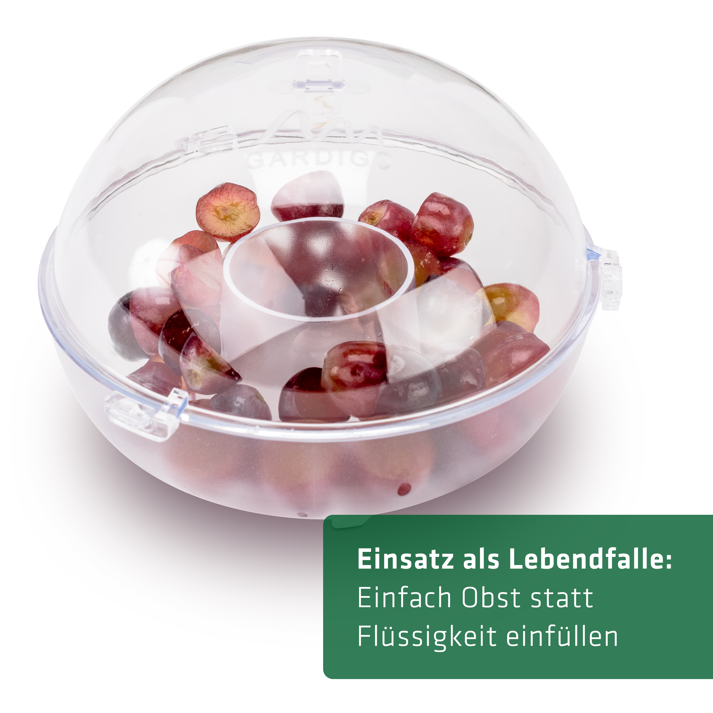 66644-Wespenfaenger-2er-Set-Lebend-fangen Wasp Trap | Set of 2