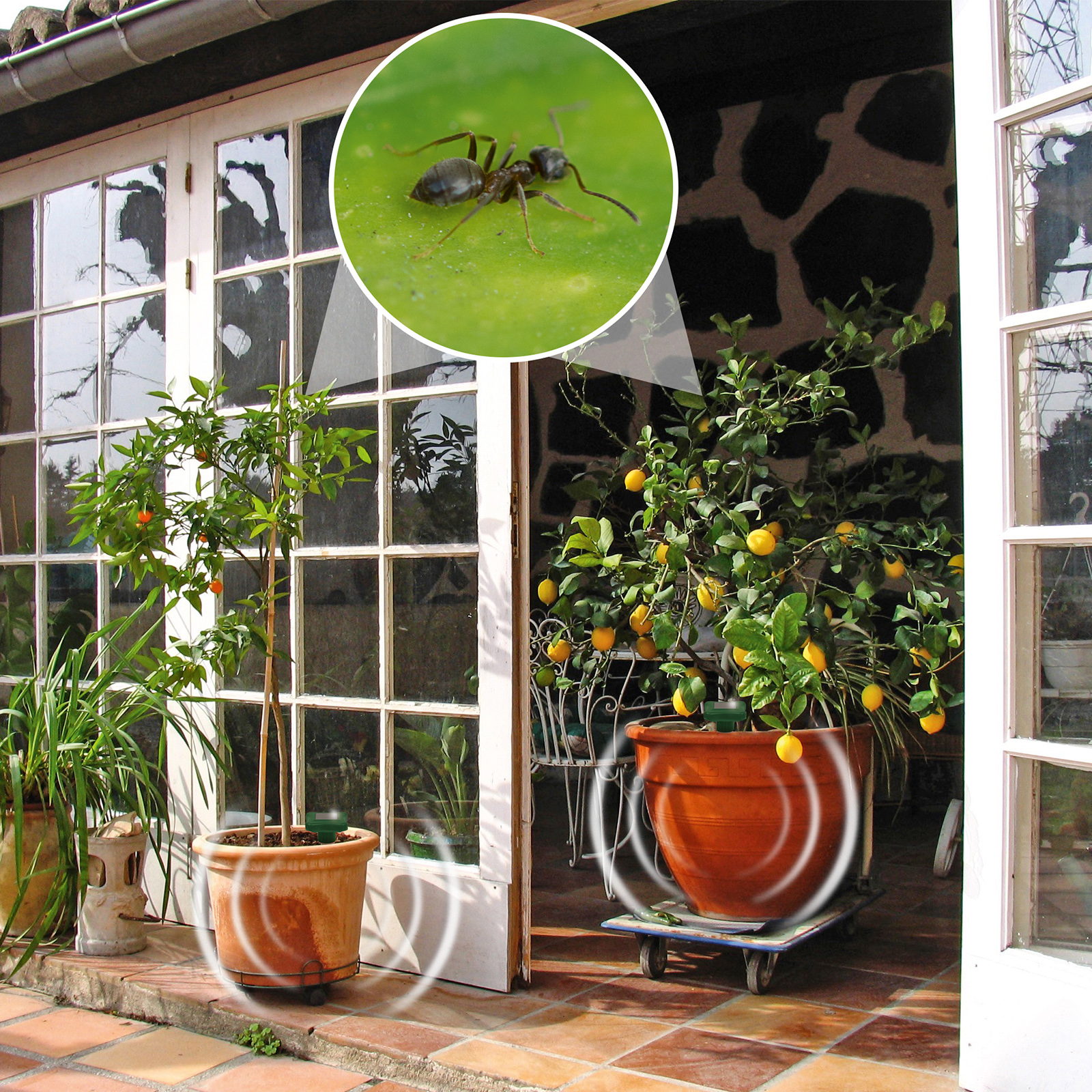 GARDIGO solar ant repellent