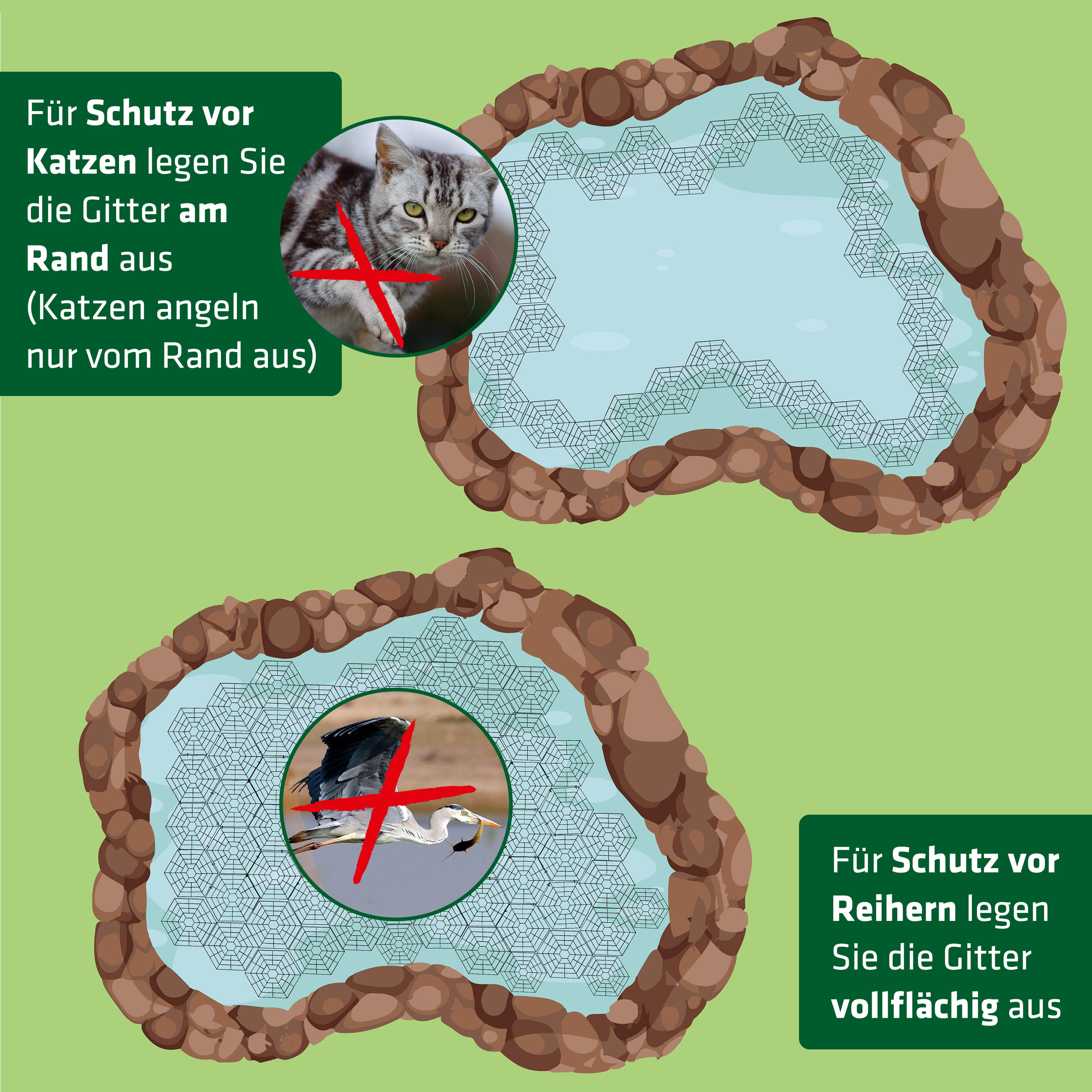 anwendung-gegen-katzen-reiher-6008420 Pond Protection Grid | set of 20 | for problems with herons & cats