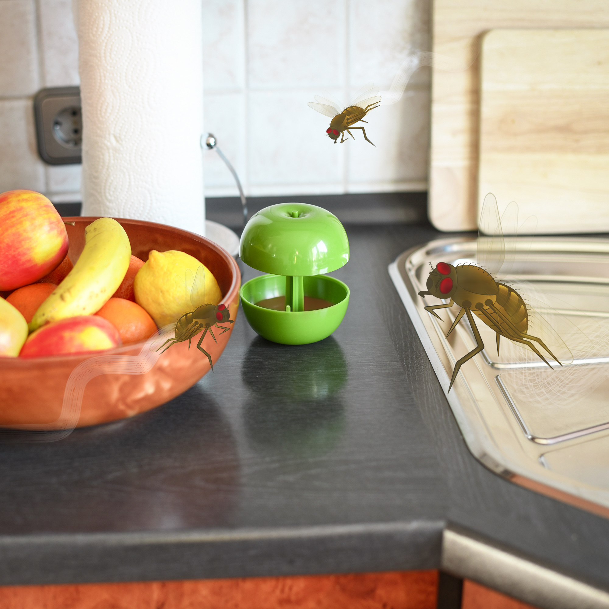 Fruit Fly Trap | apple design | set of 3