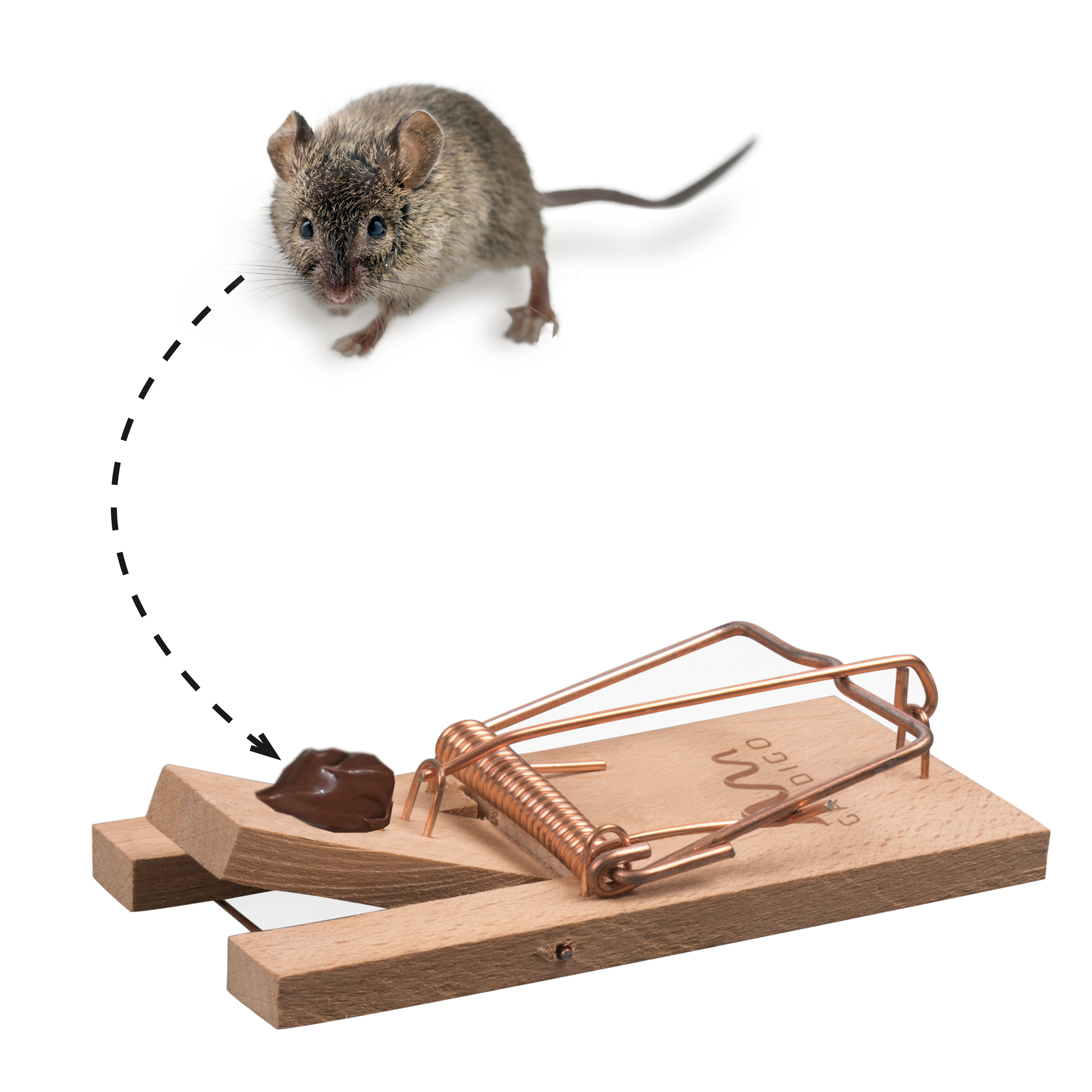GARDIGO wooden snap mouse trap for solid baits