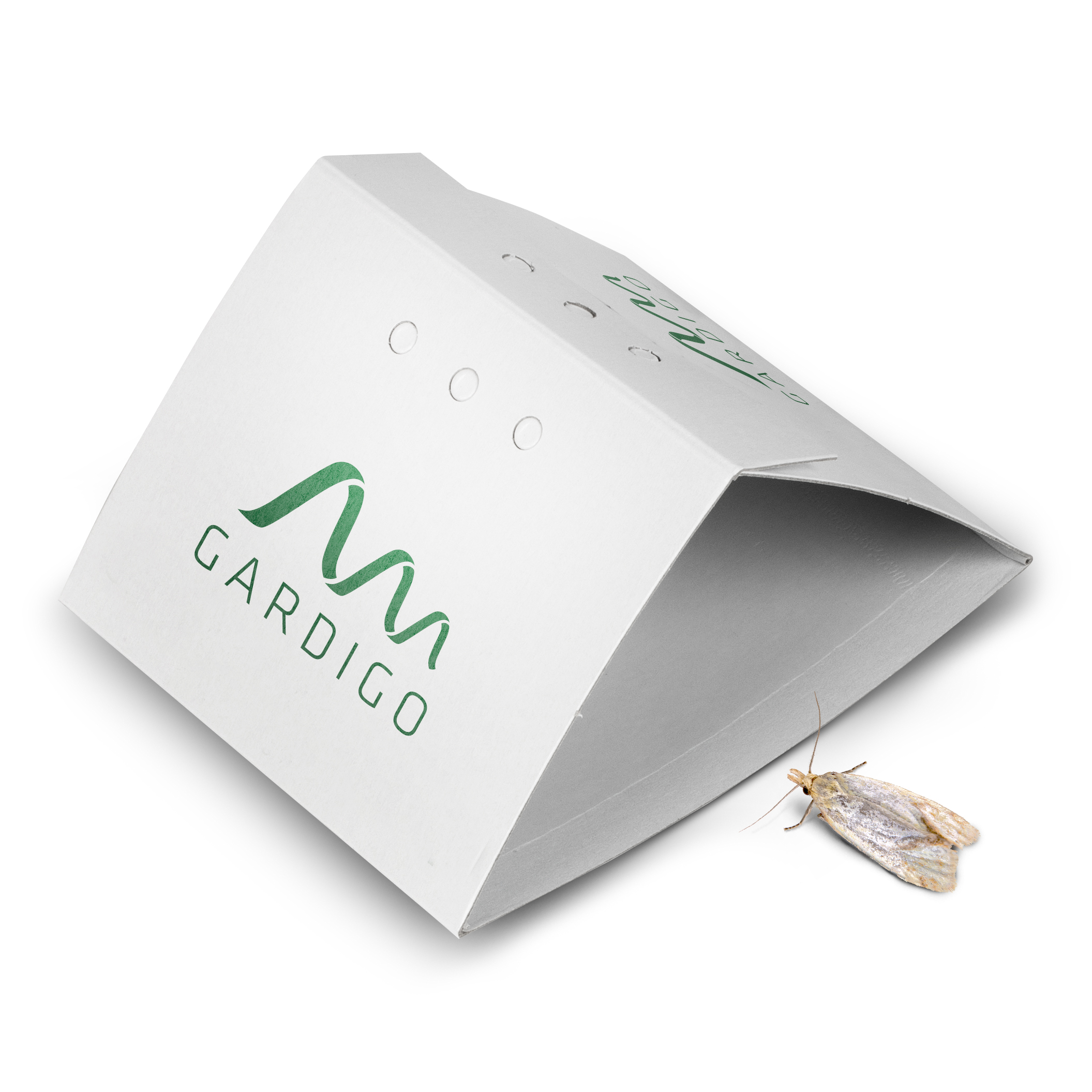 Clothes-MothTrap | set of 2 | sticky pheromone trap for monitoring