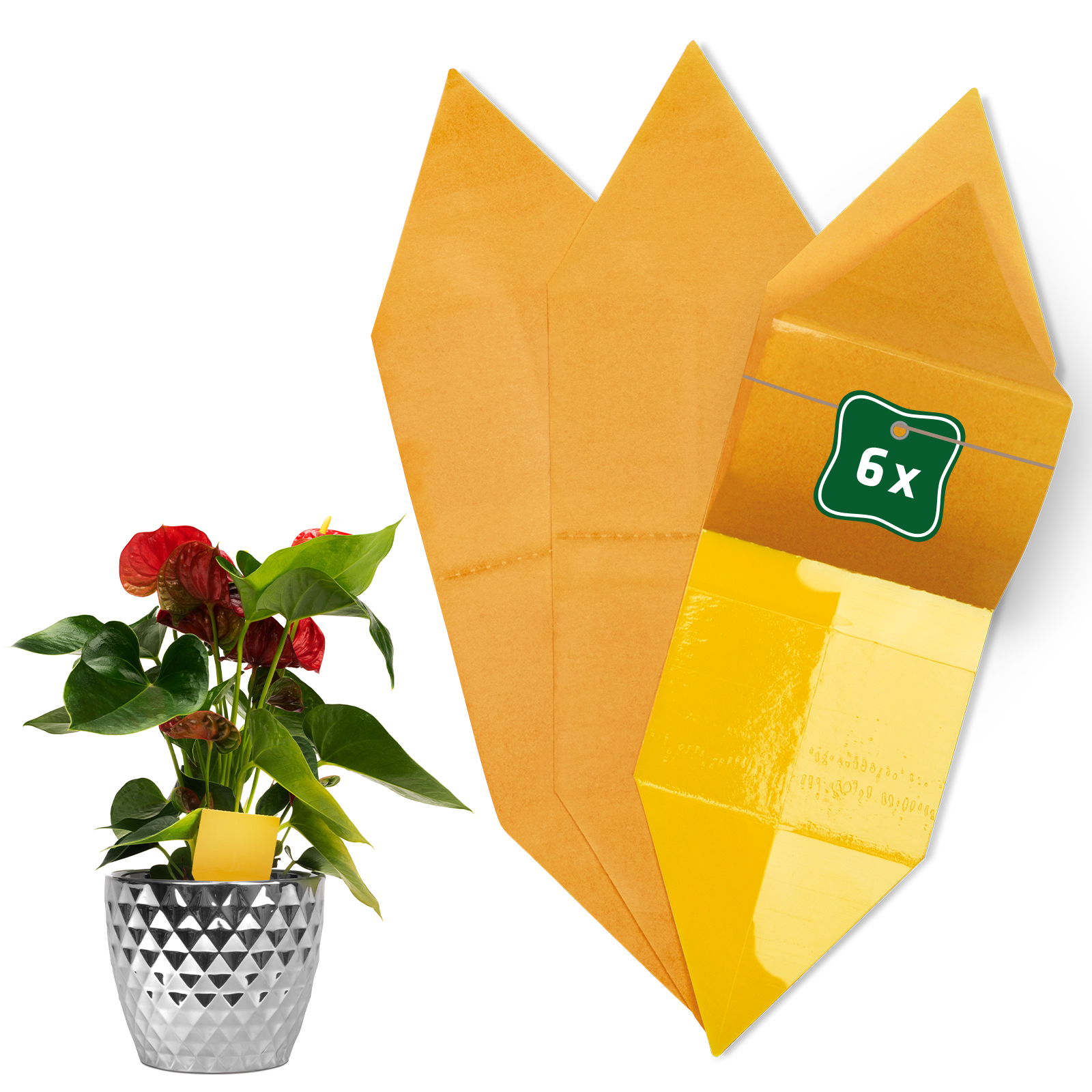 Yellow Stickers | set of 6 sticky traps | protection for indoor plants Yellow Stickers | set of 6 sticky traps | protection for indoor plants