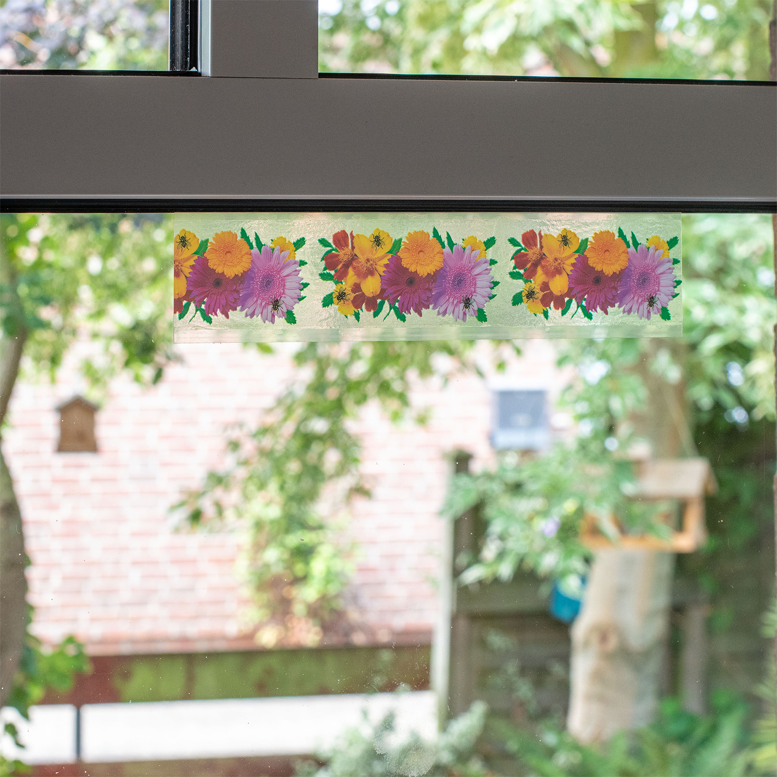 Sticky fly trap for windows