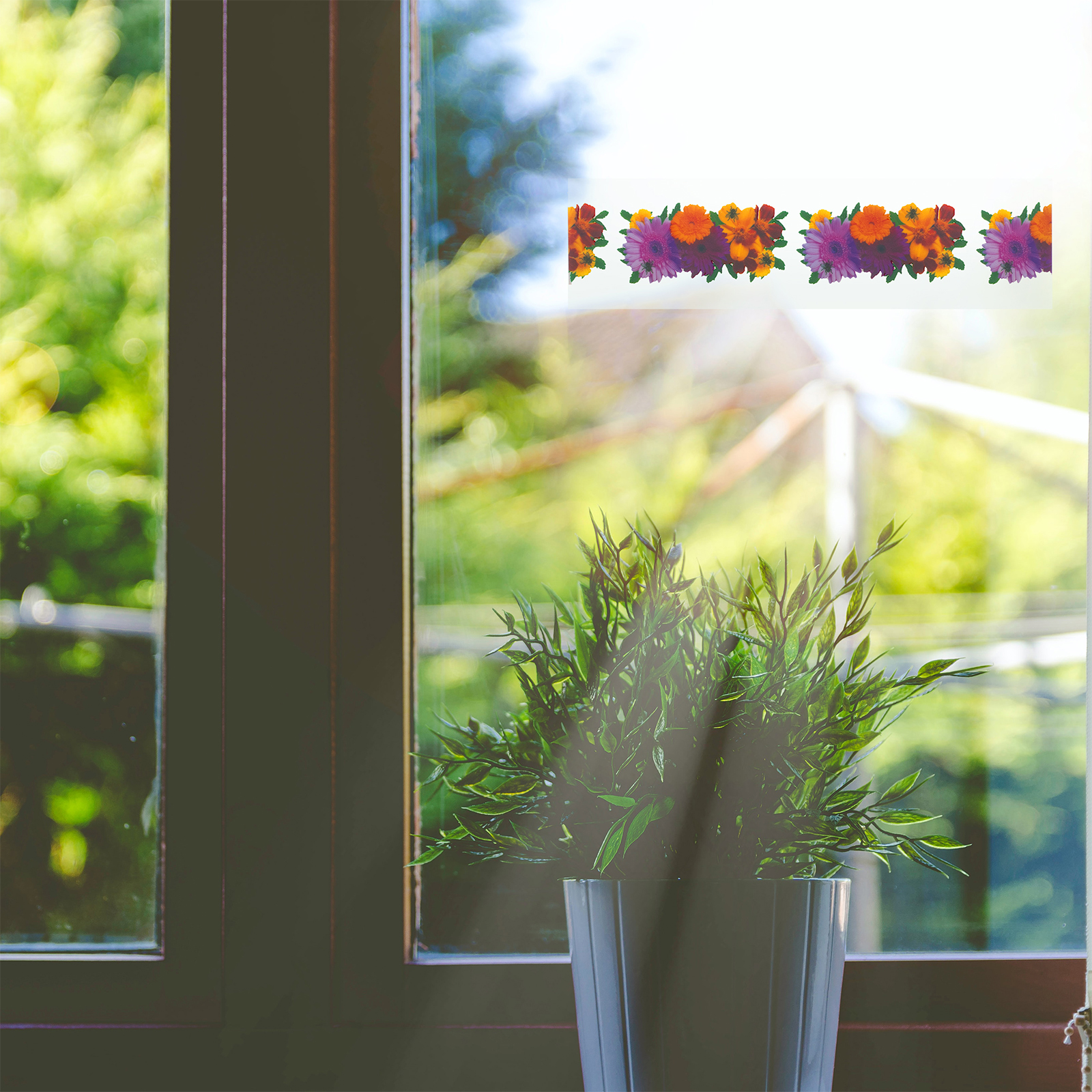 Sticky fly trap for windows