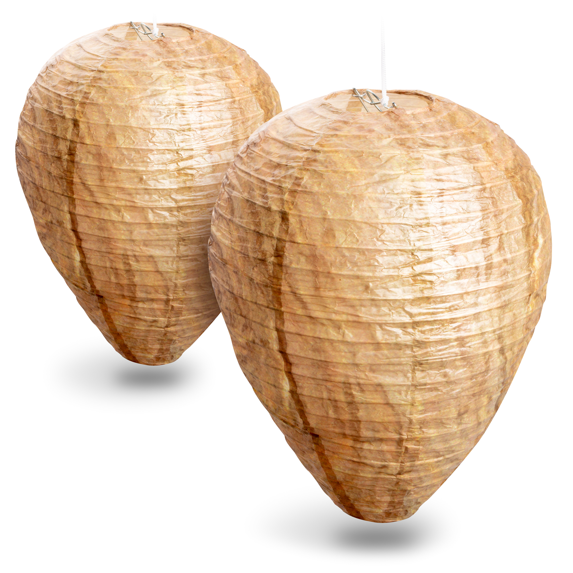 Wasp Nest Dummy | fake nest against real wasps Wasp Nest Dummy | fake nest against real wasps