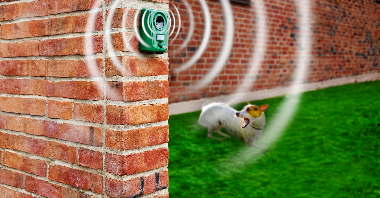 ultrasonic dog repellers