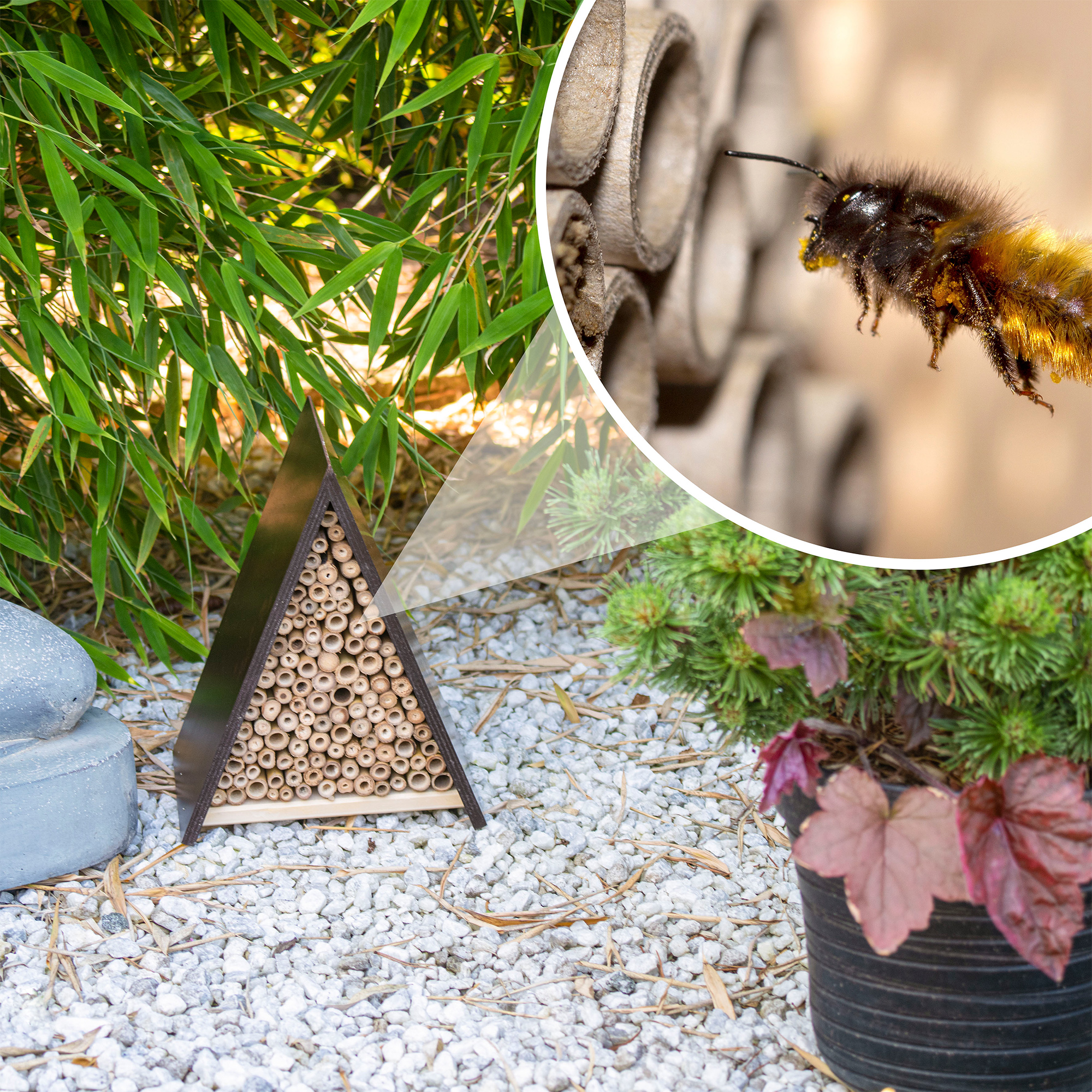 Mit einem Bienenhotel können Sie nützliche Insekten in Ihren Garten locken, die auch Ihre Pflanzen bestäuben. 