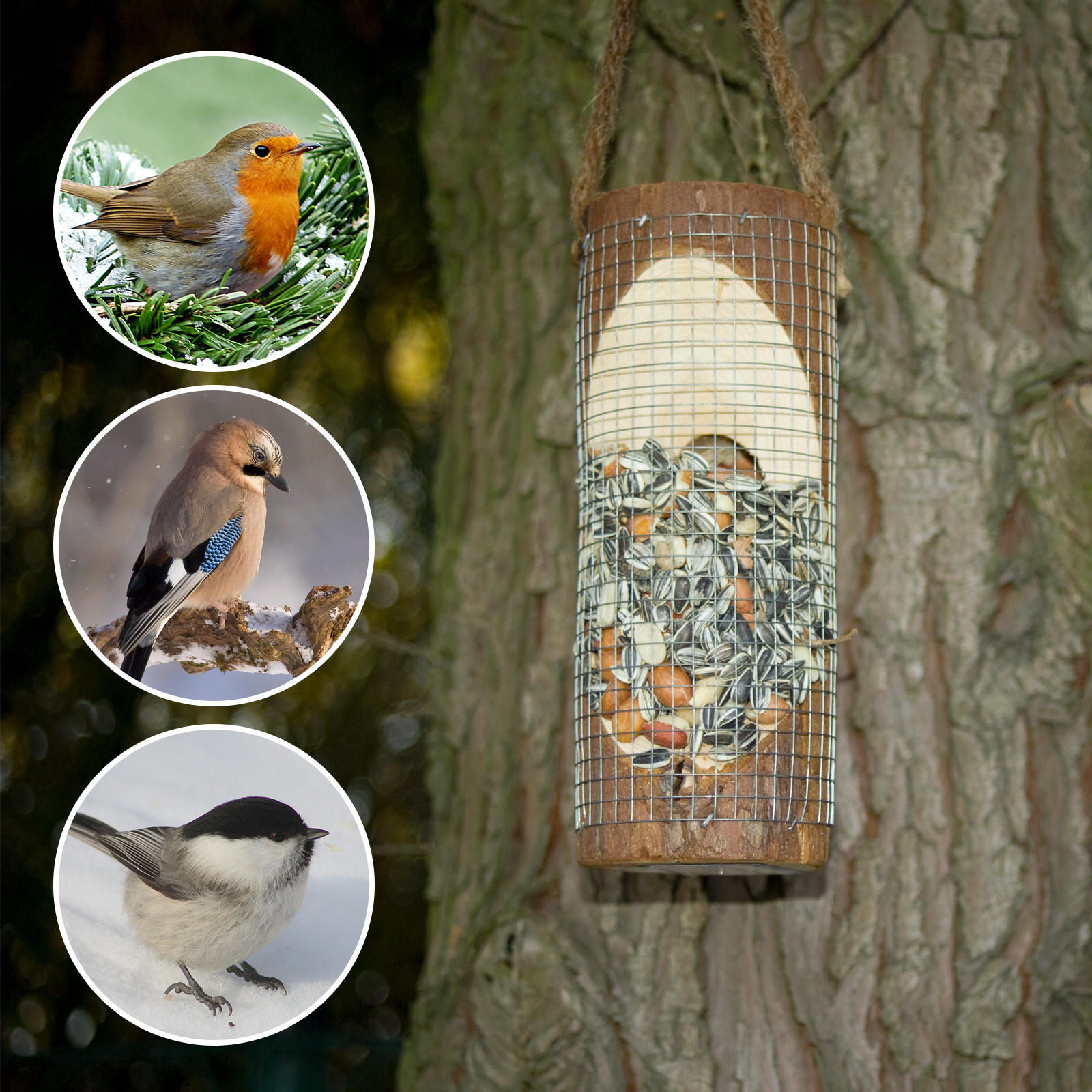 90581-Vogelfuttersaeule-wie-Voegel-fuettern Feeding Station for Birds | bird feeder