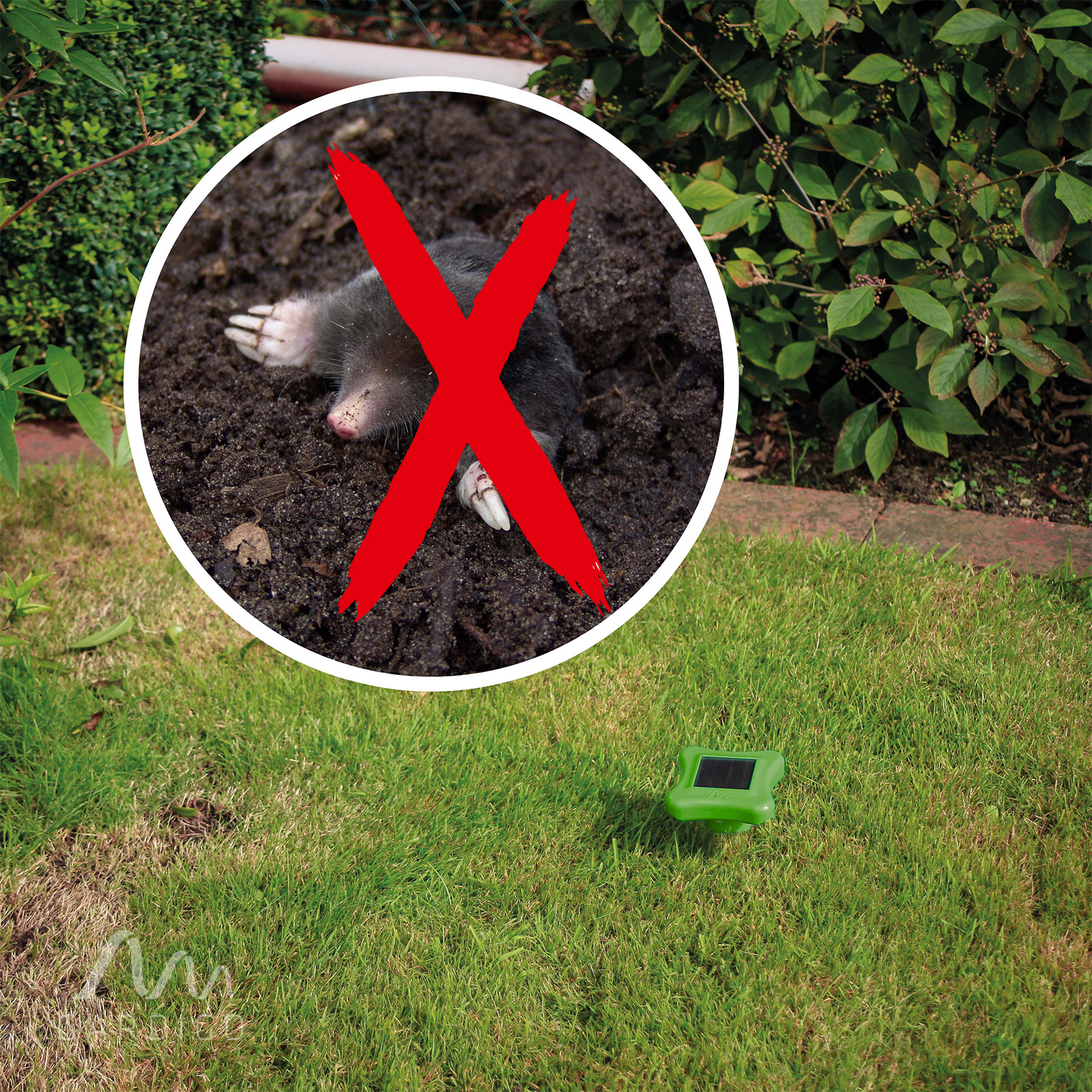 Solar Mole Repellent