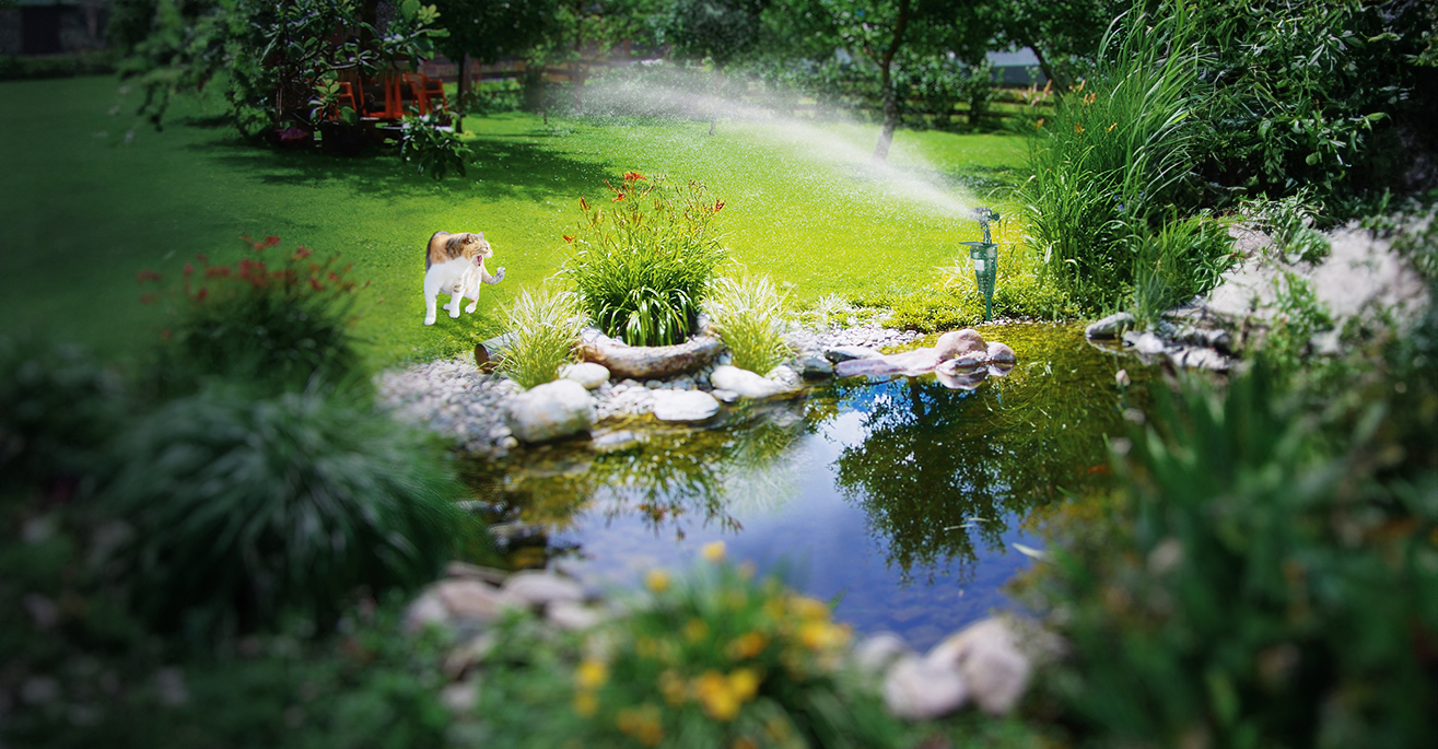 cat repellents with water jet