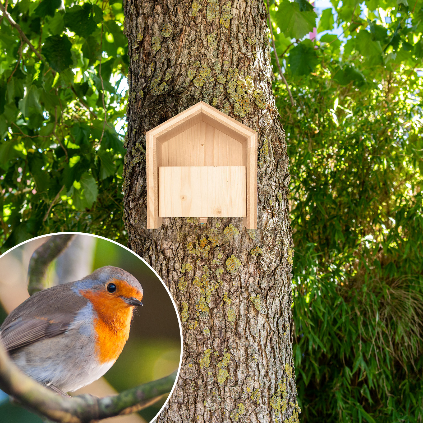 Natürliche Halbhöhlen werden seltener aber Sie können eine Nistmöglichkeit in Ihrem Garten schaffen. 