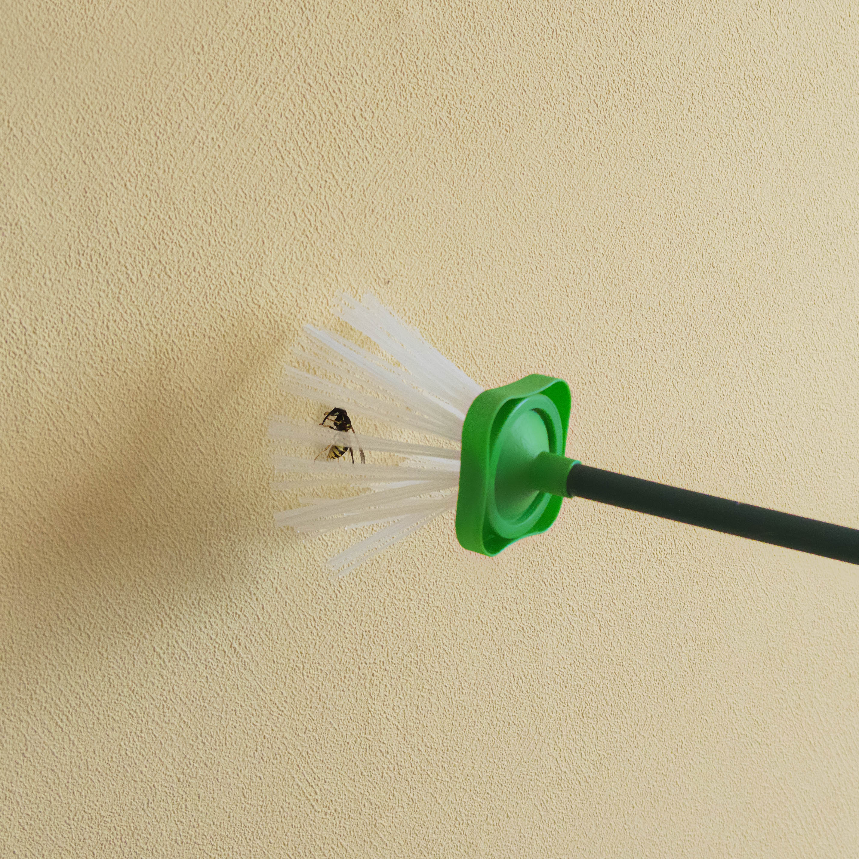 66976-Spinnen-Faenger-grosse-Spinnen-im-Haus-fangen Gardigo Spider Catcher