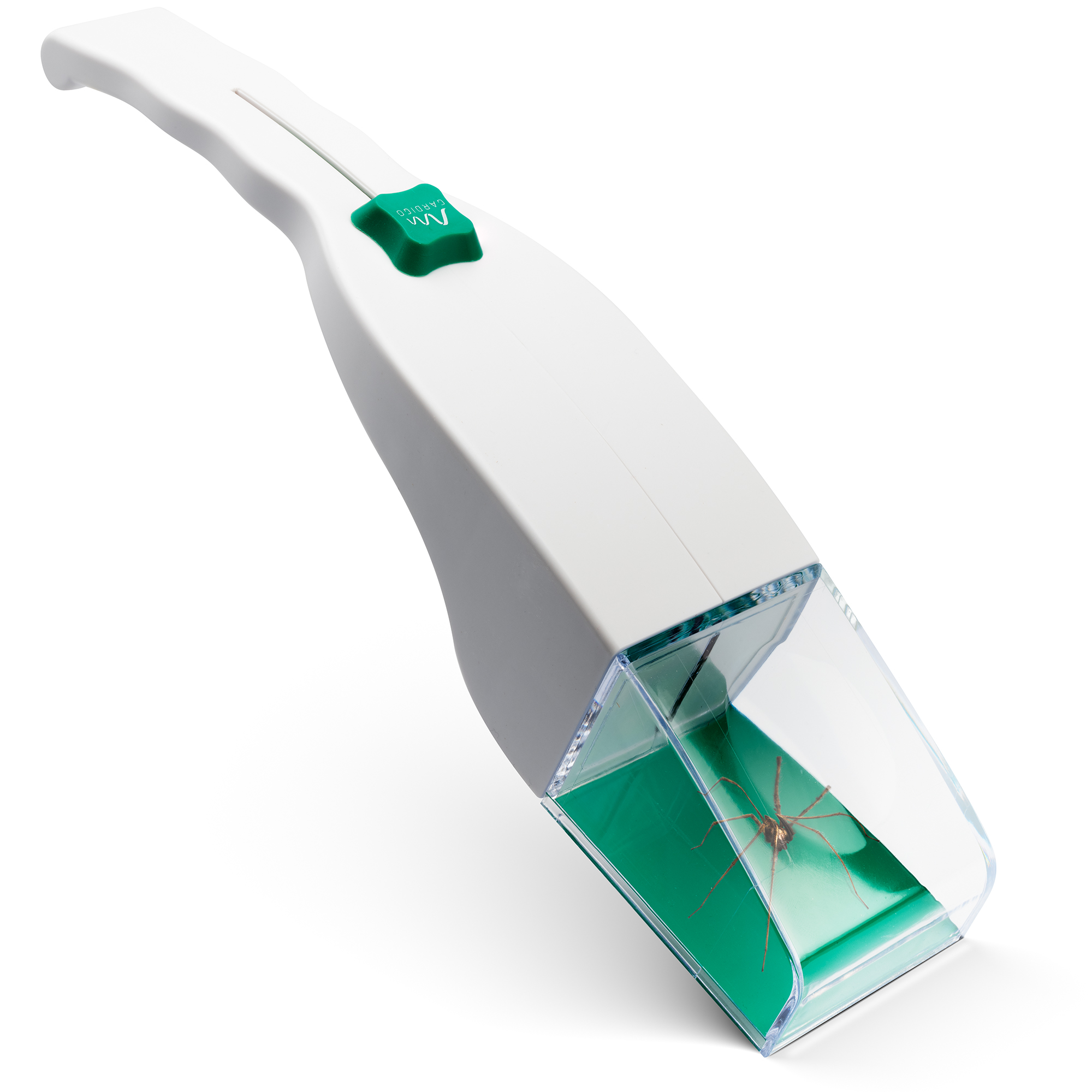 Insect & spider catcher | with magnifier | extra large