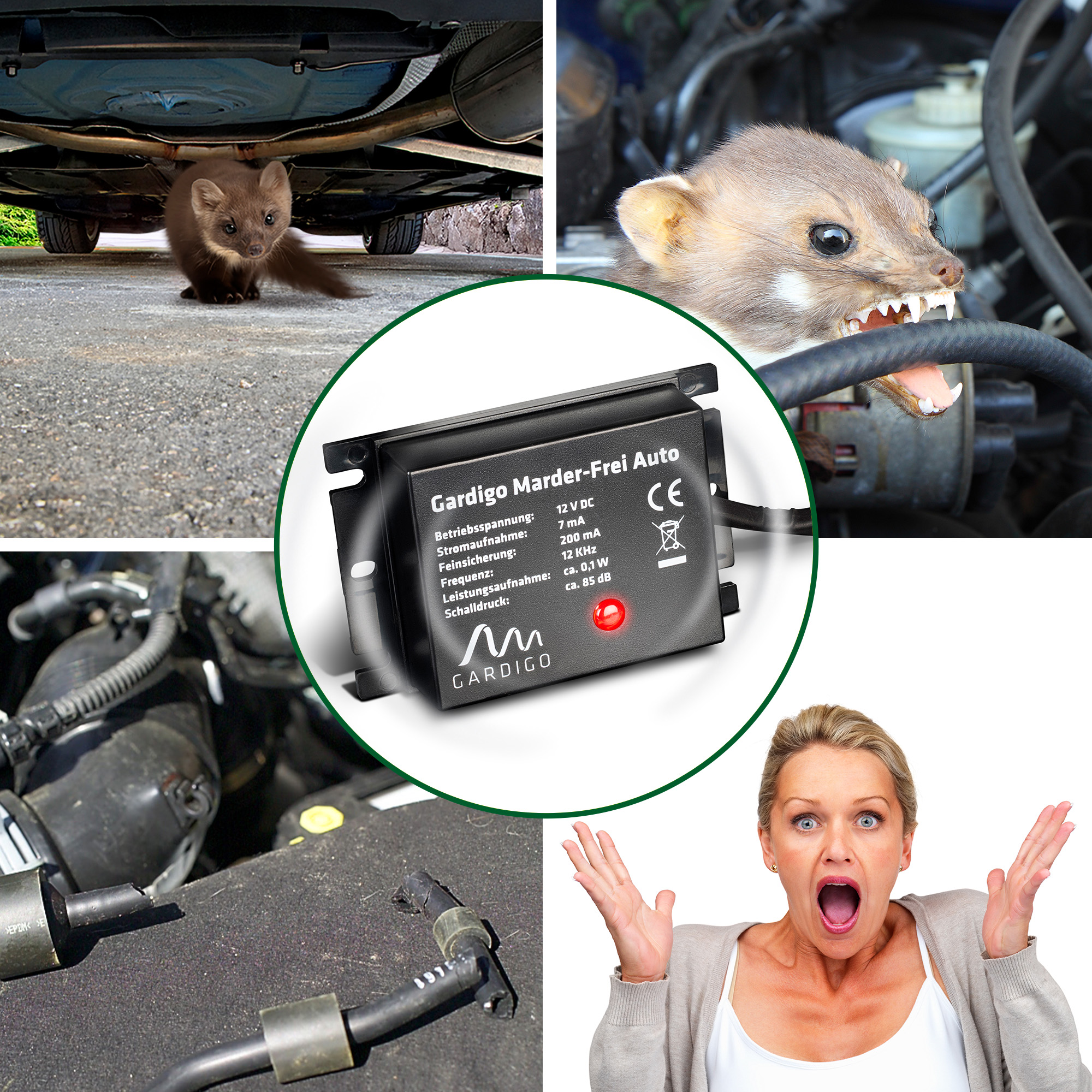 78405-Marder-Frei-Auto-Kabel-Aas GARDIGO sonic marten repellent for cars