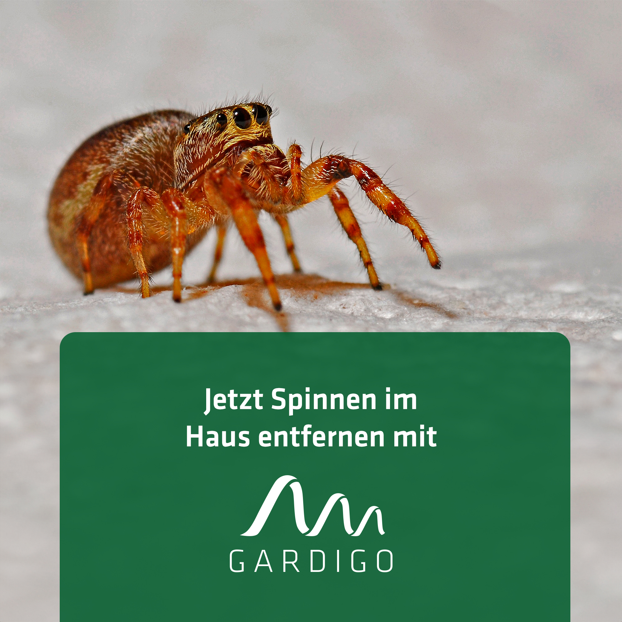 titel alt-text