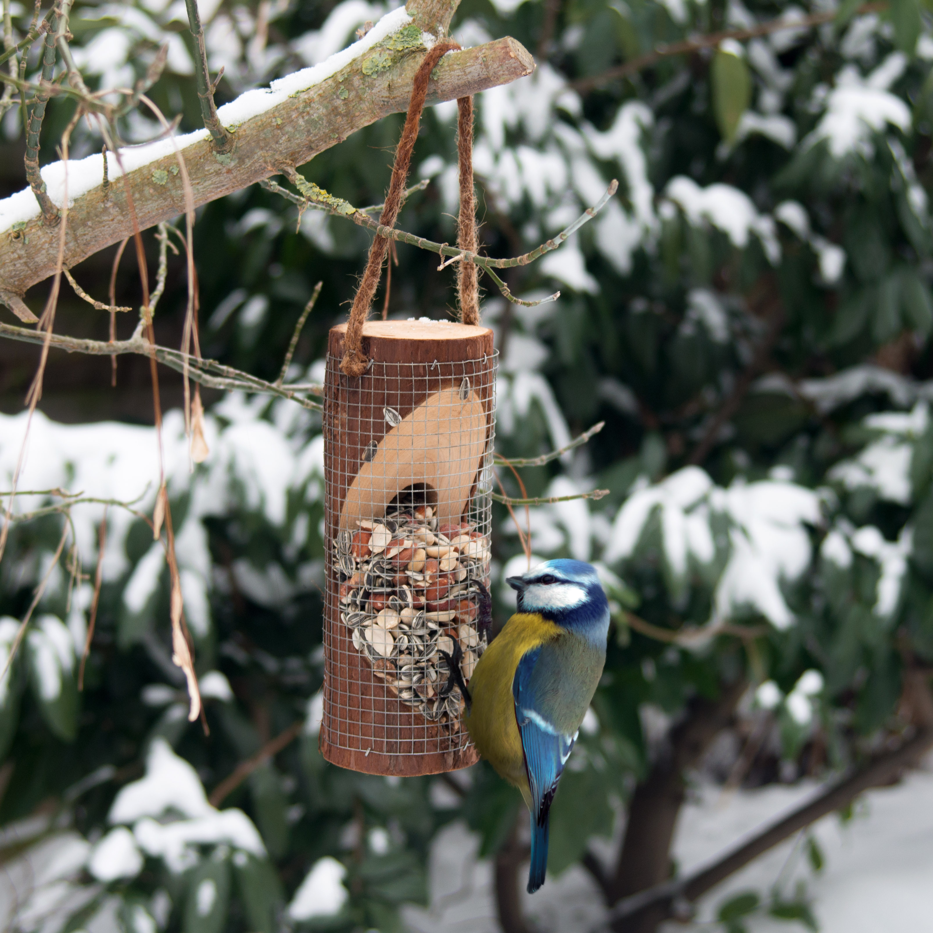 90581-Vogelfuttersaeule-Meisen-im-Garten Feeding Station for Birds | bird feeder