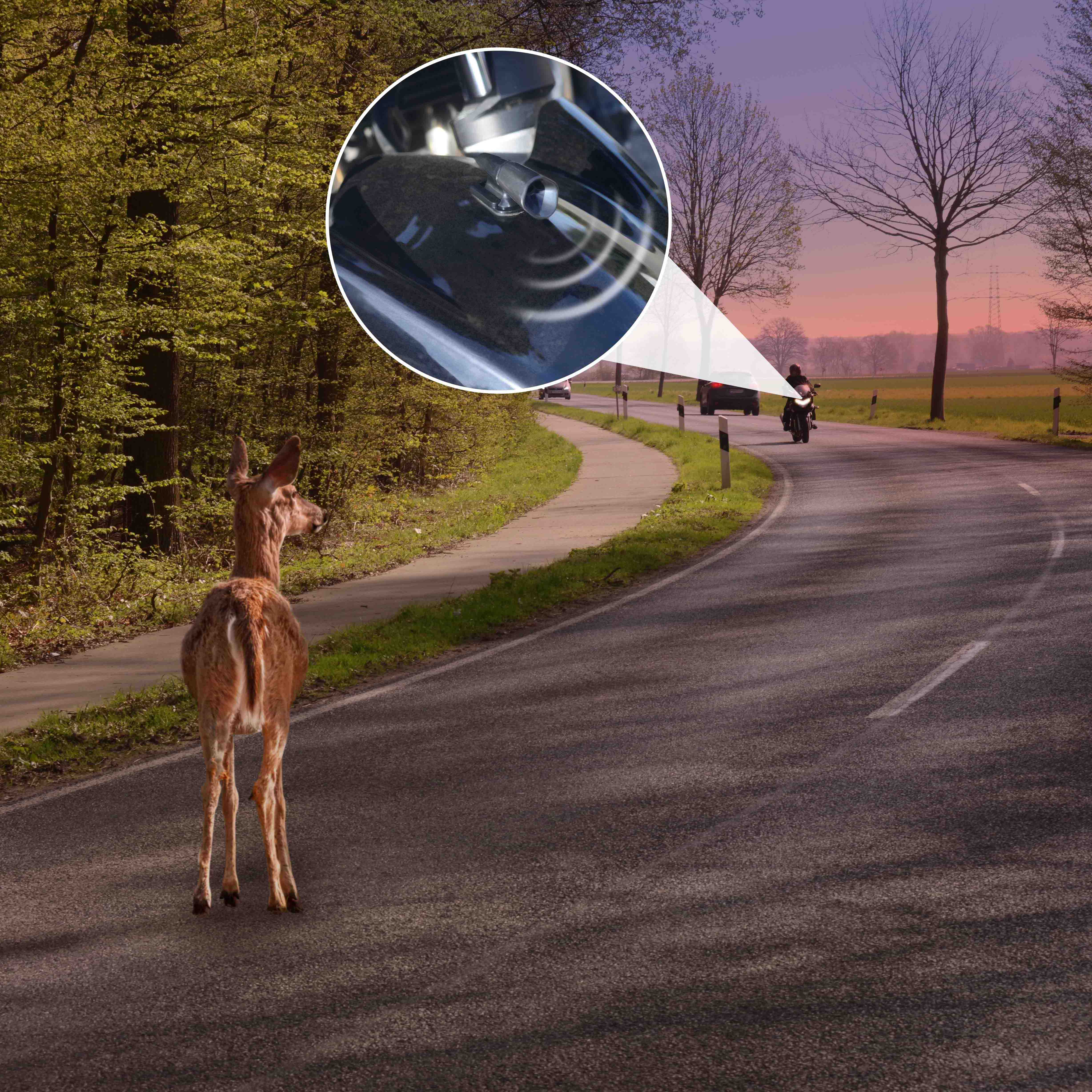 Deer whistle for cars | set of 2 | wildlife alarm