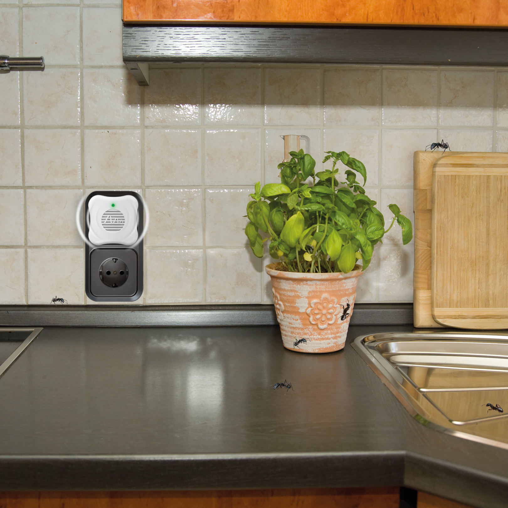 Ant-Repellent | ultrasonic deterrent