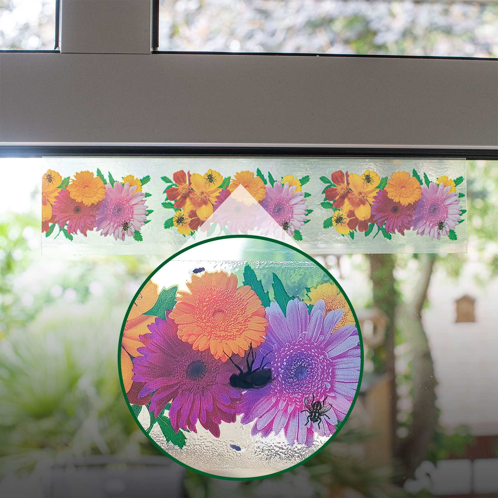 Sticky fly trap for windows
