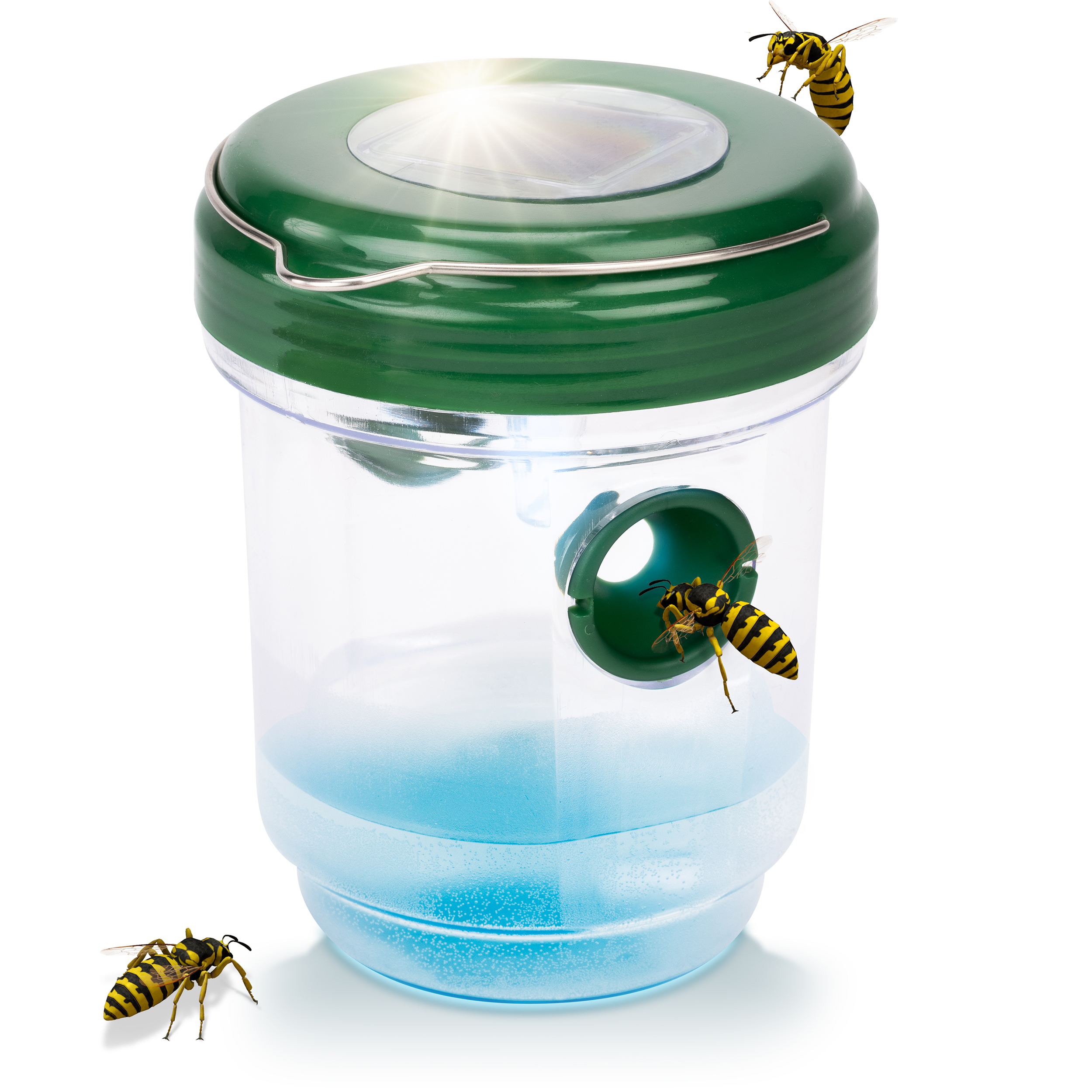 Solar wasp & mosquito trap Solar wasp & mosquito trap
