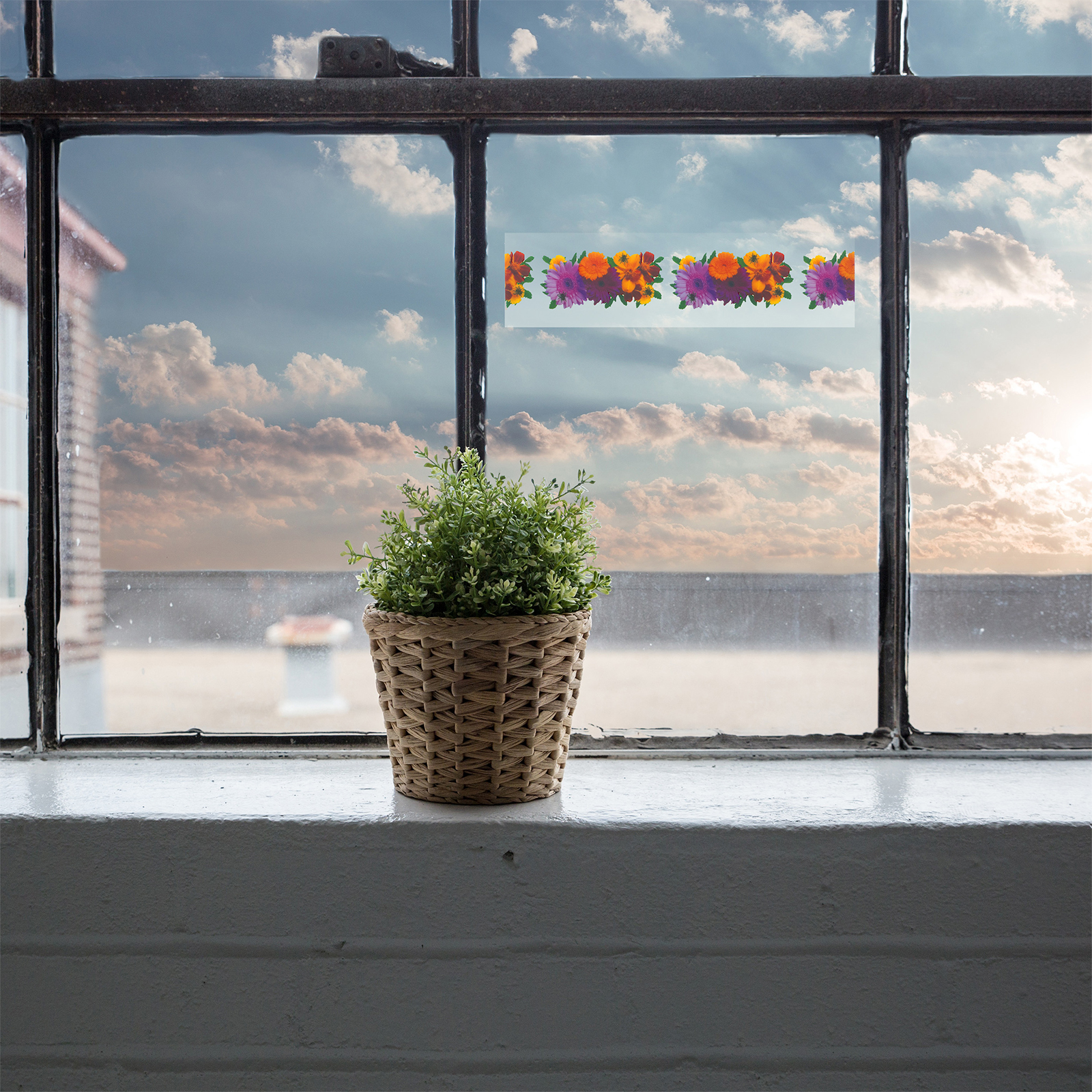 Sticky fly trap for windows
