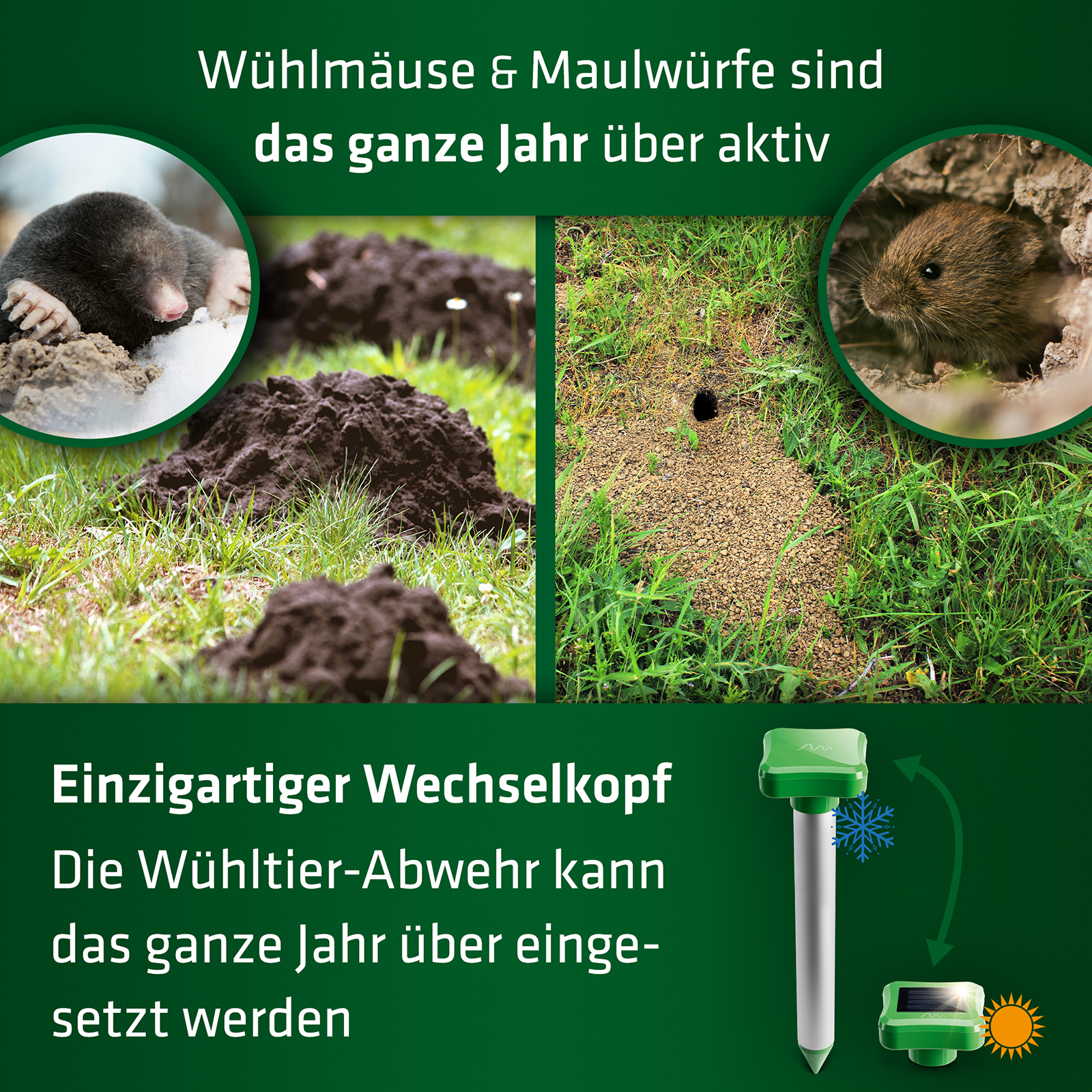 Vole Defence Four Seasons
