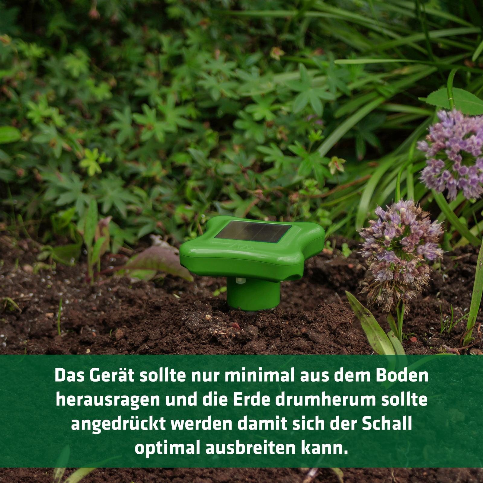 GARDIGO Solar Mole Repellent | solar powered