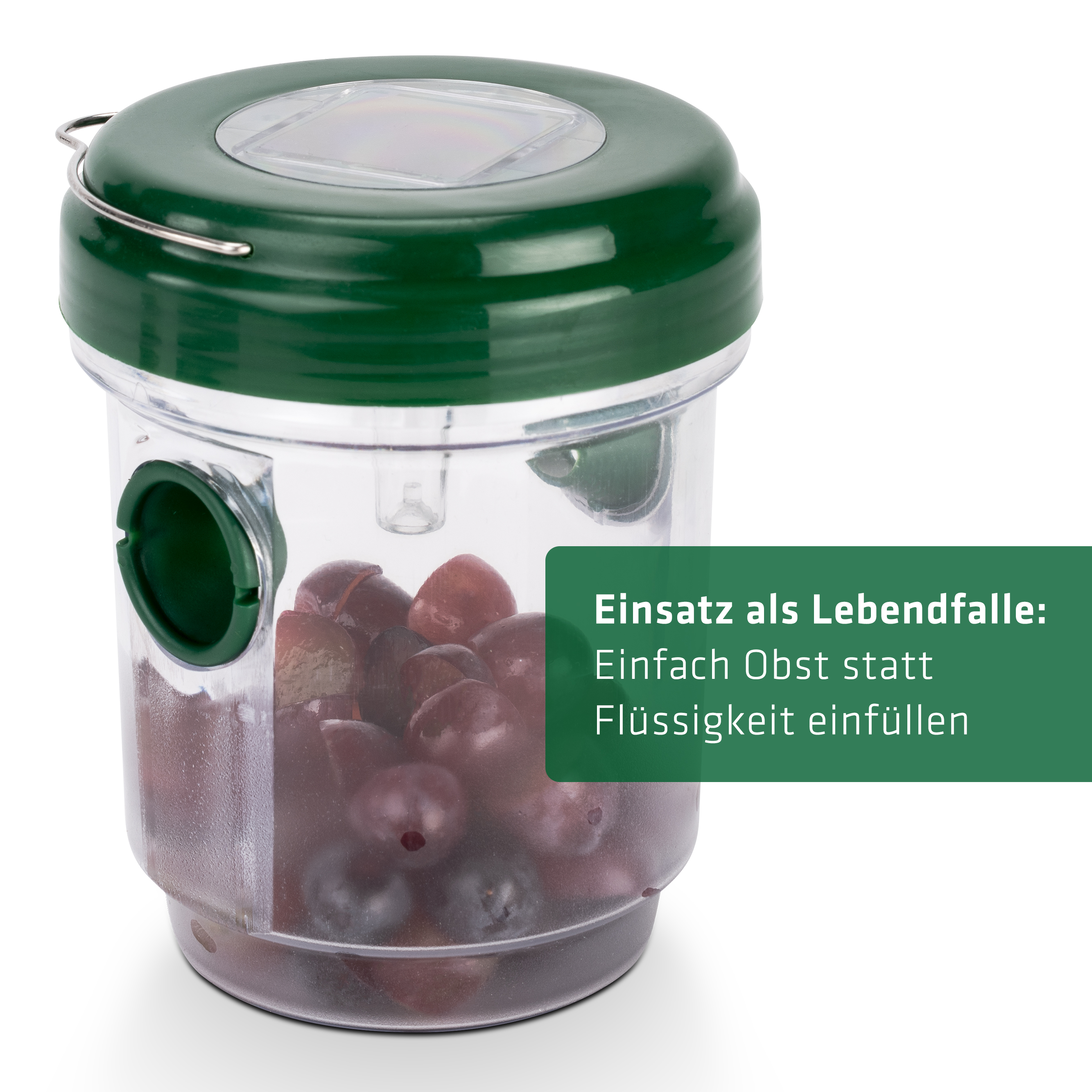66643-Solar-Insektenfalle-Lebend-fangen Solar Insect Trap | 2 in 1 | against wasps & mosquitoes