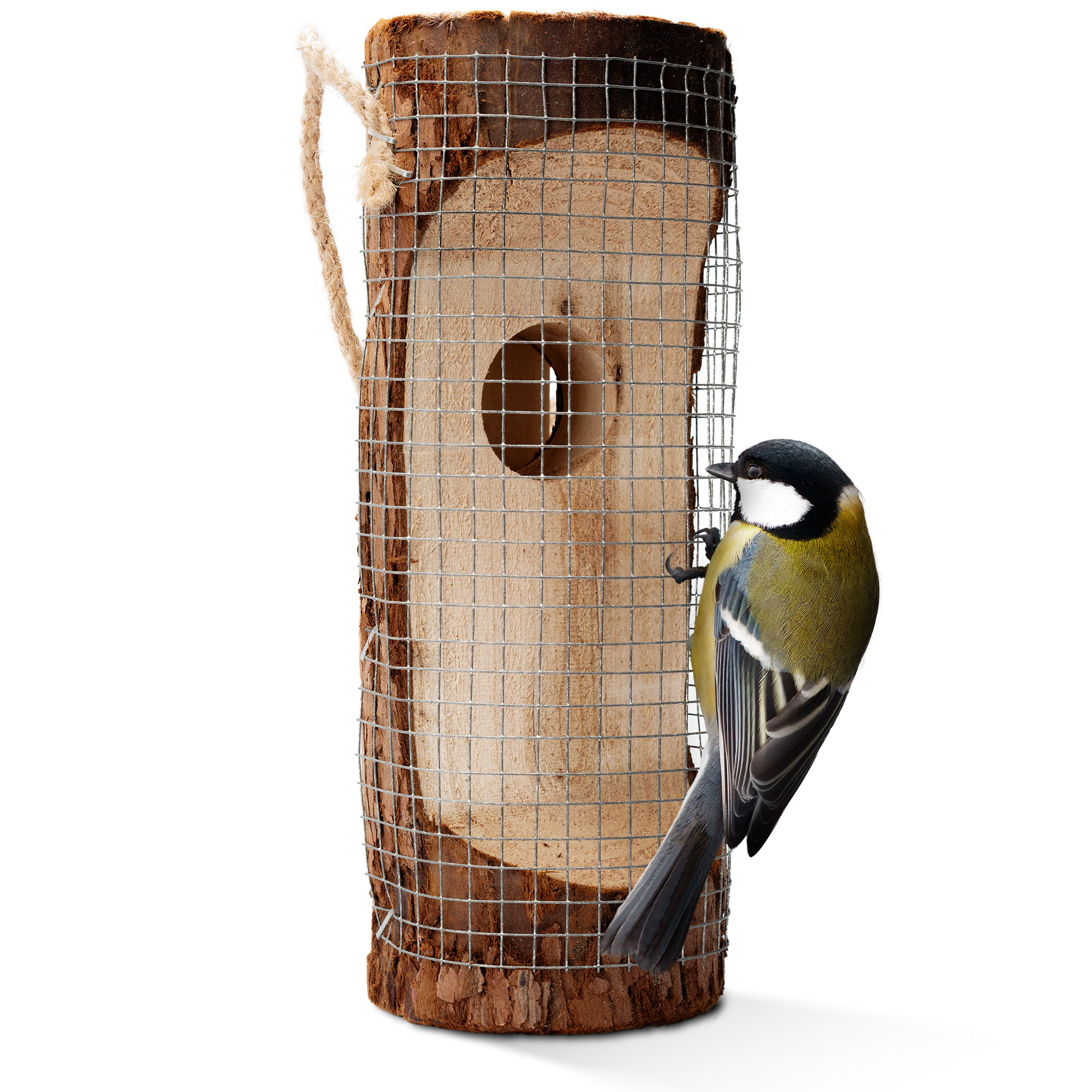 Feeding Station for Birds | bird feeder