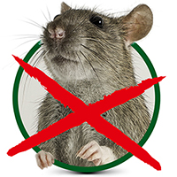 rat traps & repellents