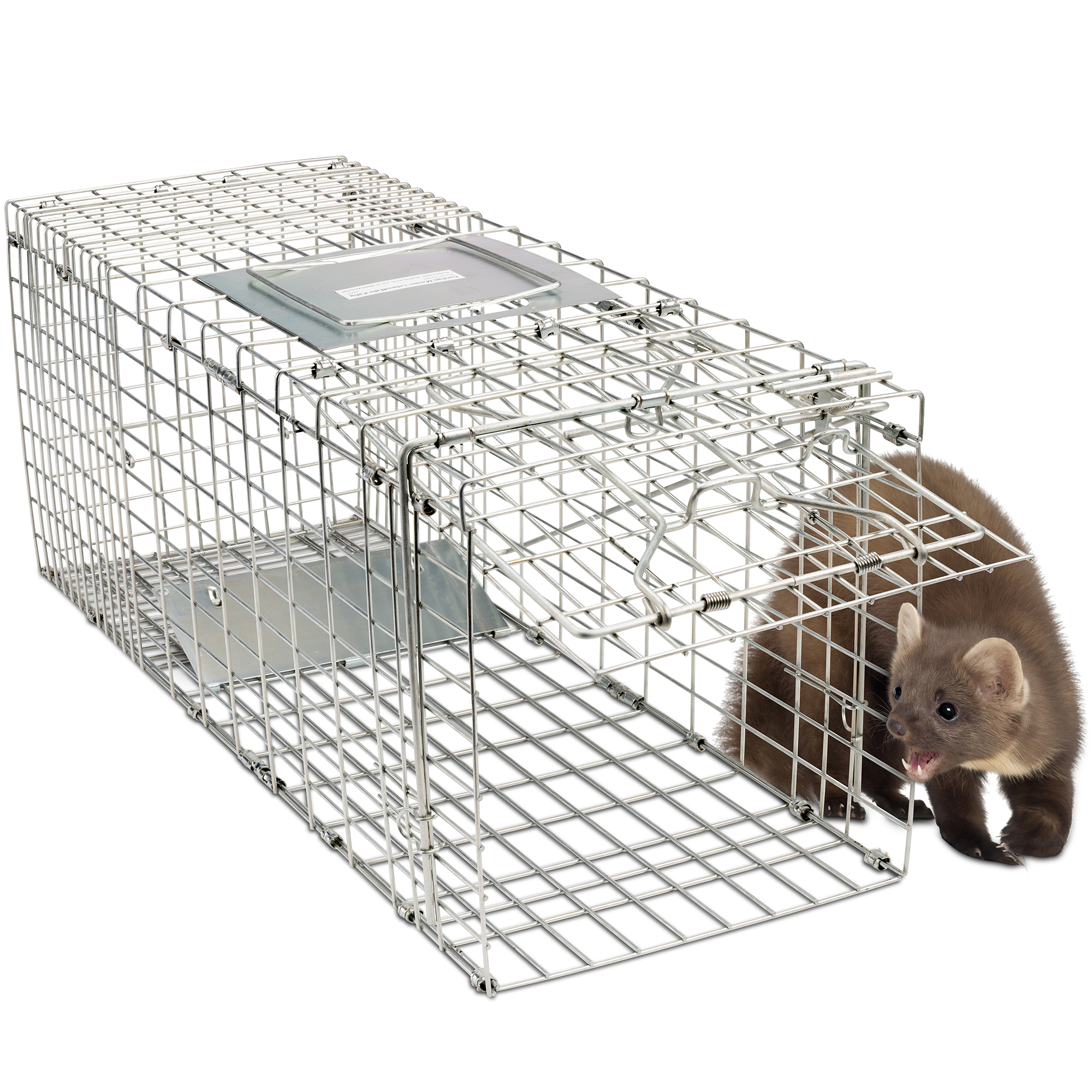 Marten Live Trap | also suitable for catching raccons, cats & nutria