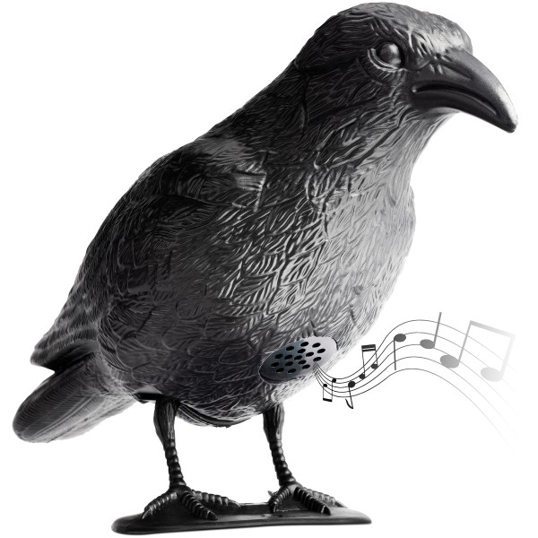 Solar Tauben-Abwehr Krähe – der Vogelvertreiber mit realistischen Krähengeräuschen von Gardigo