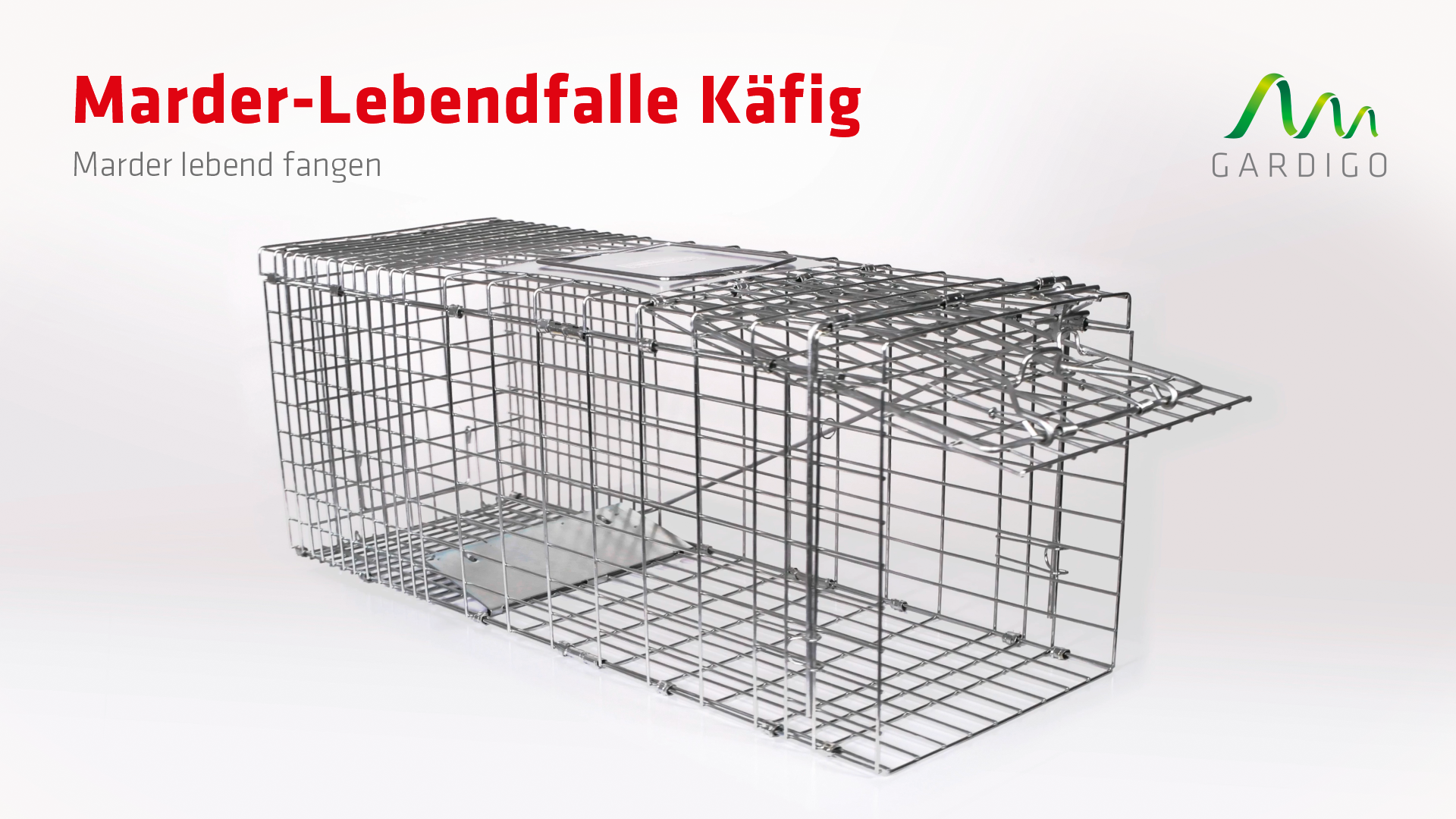 Buy Gardigo Live Marten Trap Cage trap Working principle Pheromone 1 pc(s)